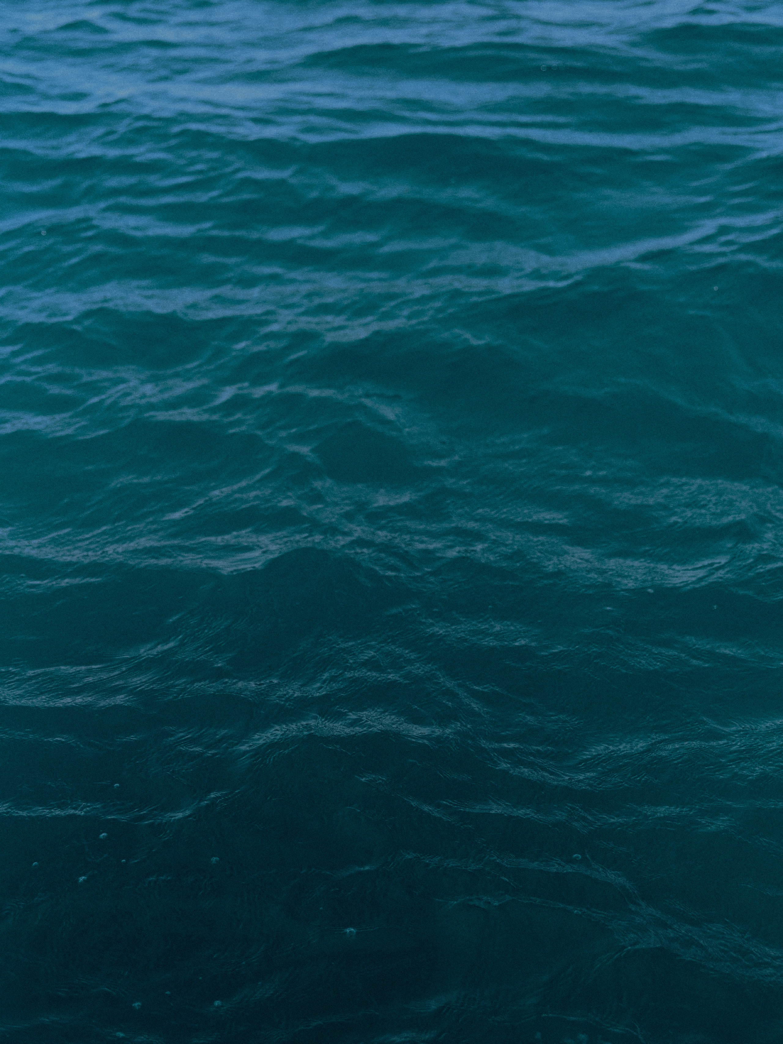 Природа. Jorgis Talè — photographer, kind person, teacher of arts and other mag