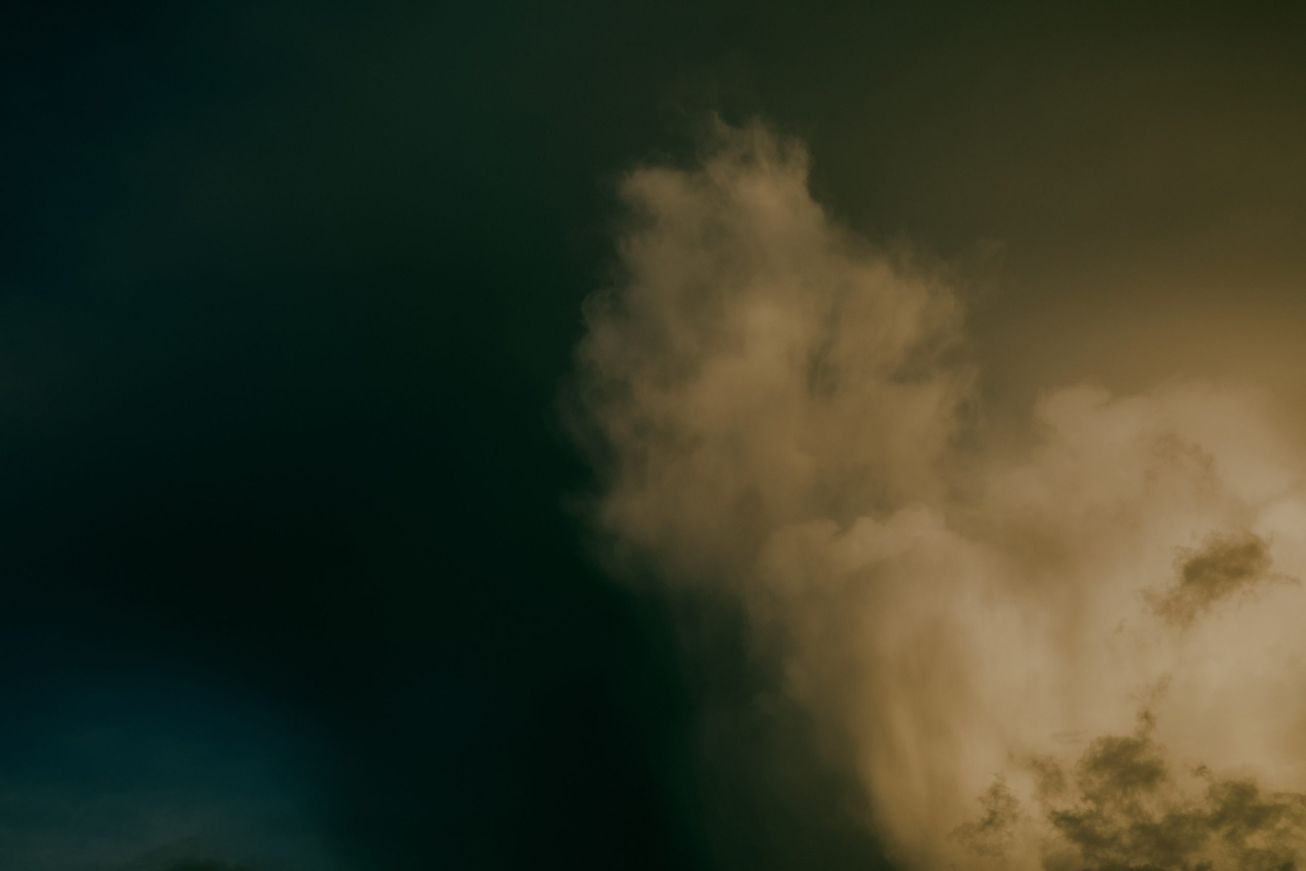 Portfolio. @beingabird.photography