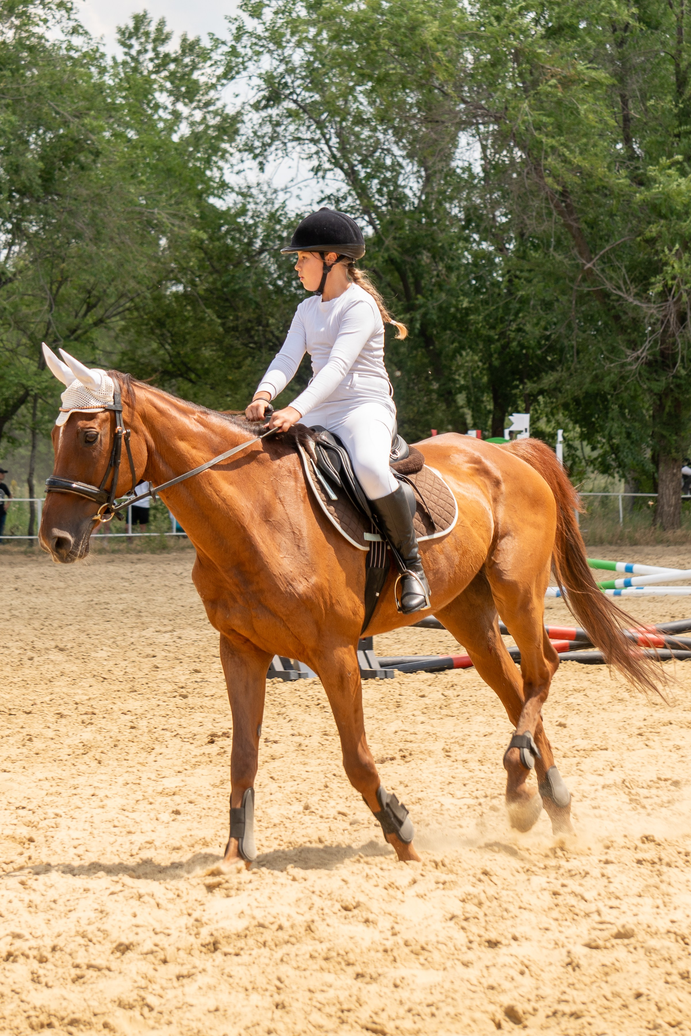 Соревнования по конкуру, Луганск. Фотограф в РФ и ЛНР Юлия Федосеева