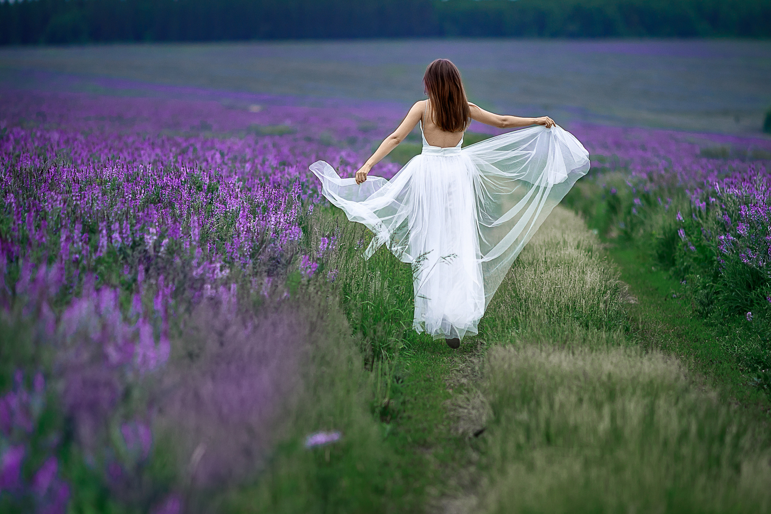 Карина в фиолетовом поле. Детский и семейный фотограф в Стерлитамаке Миронова Юлия