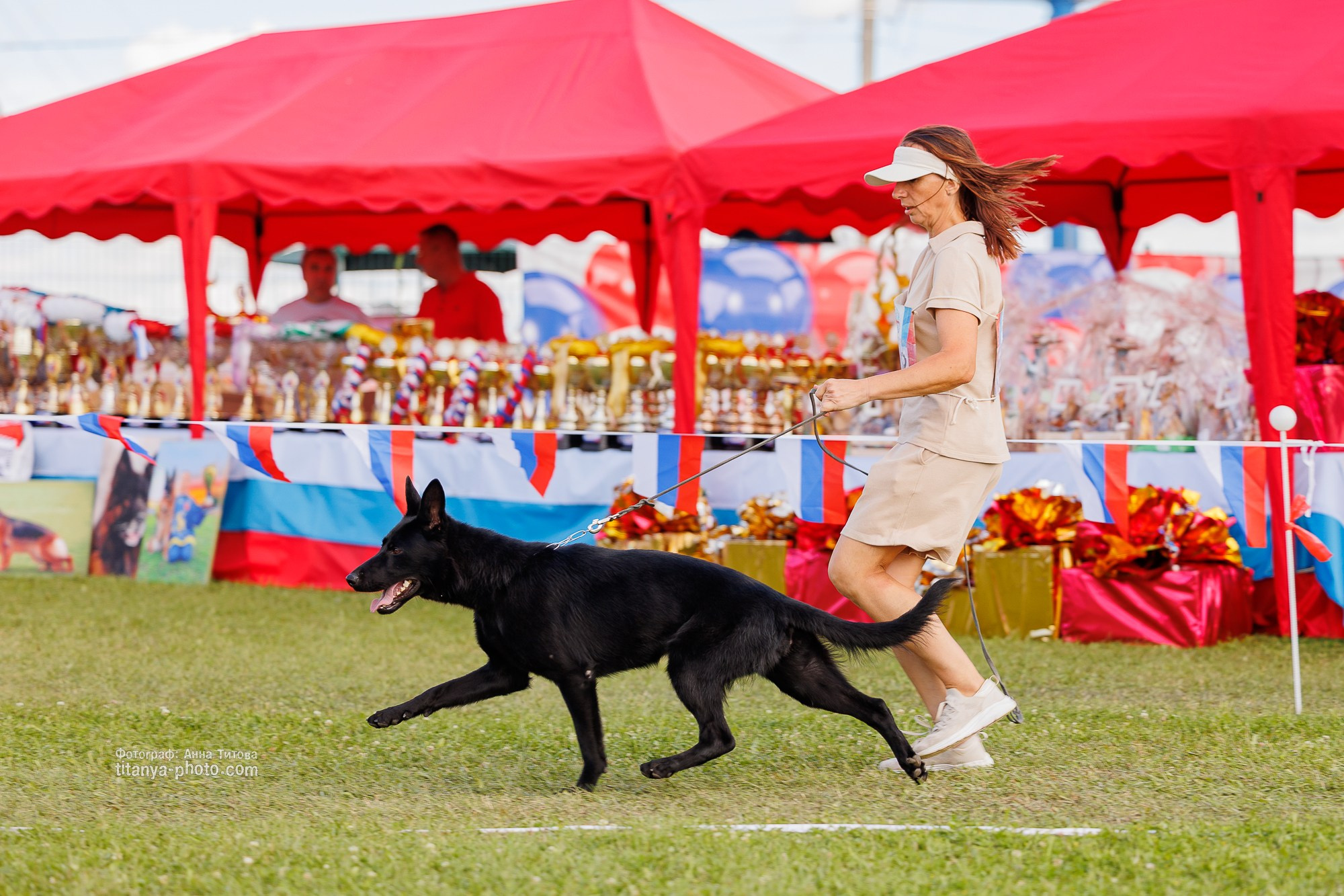 Немецкие овчарки: фото из рингов и вне ринга, мутпроба (фотографии с выставок). Фотограф собак, фотограф-анималист Аня Титова (Titanya). Москва