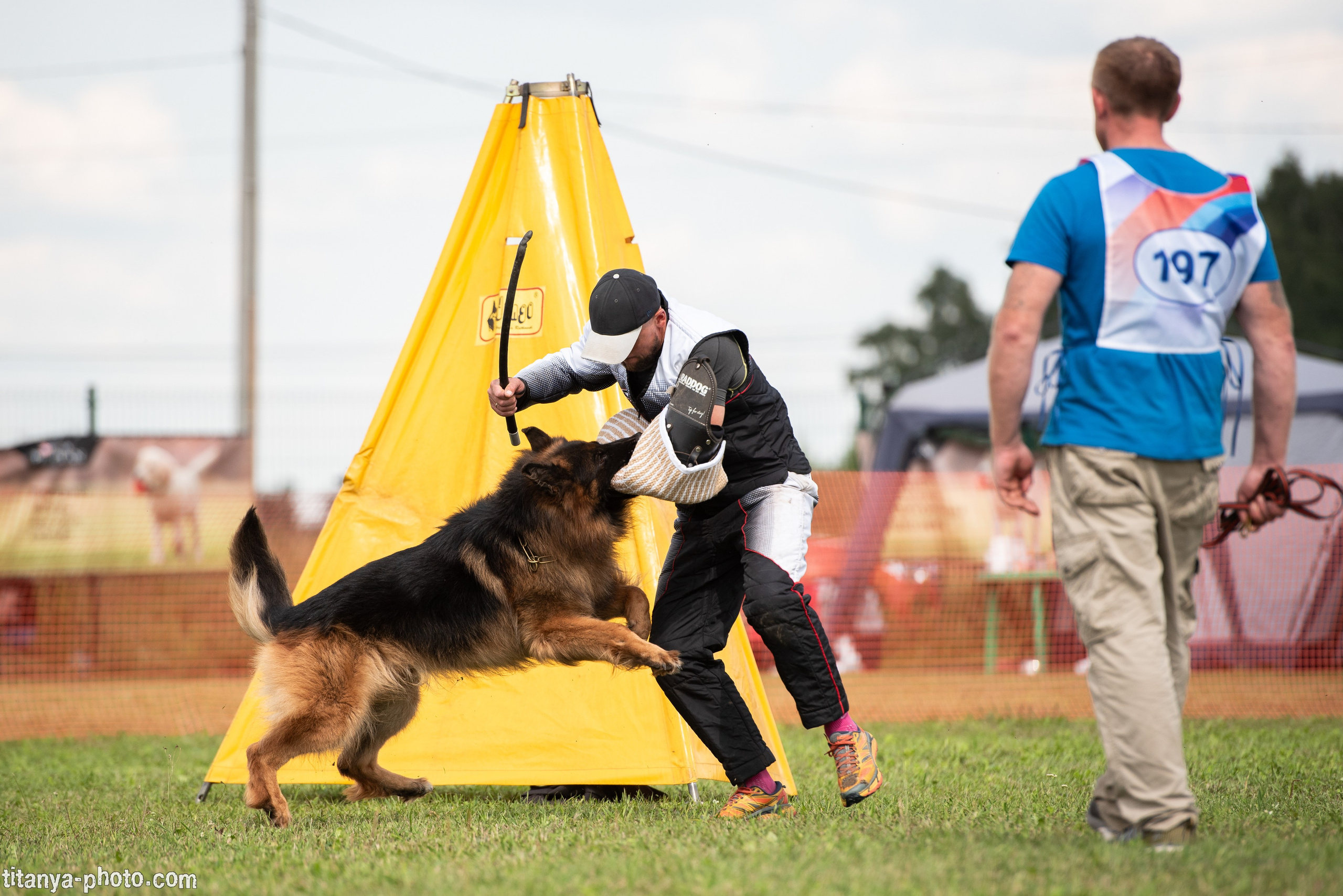 Фотографии с монопородных выставок немецких овчарок. Фотограф собак, фотограф-анималист Аня Титова (Titanya). Москва