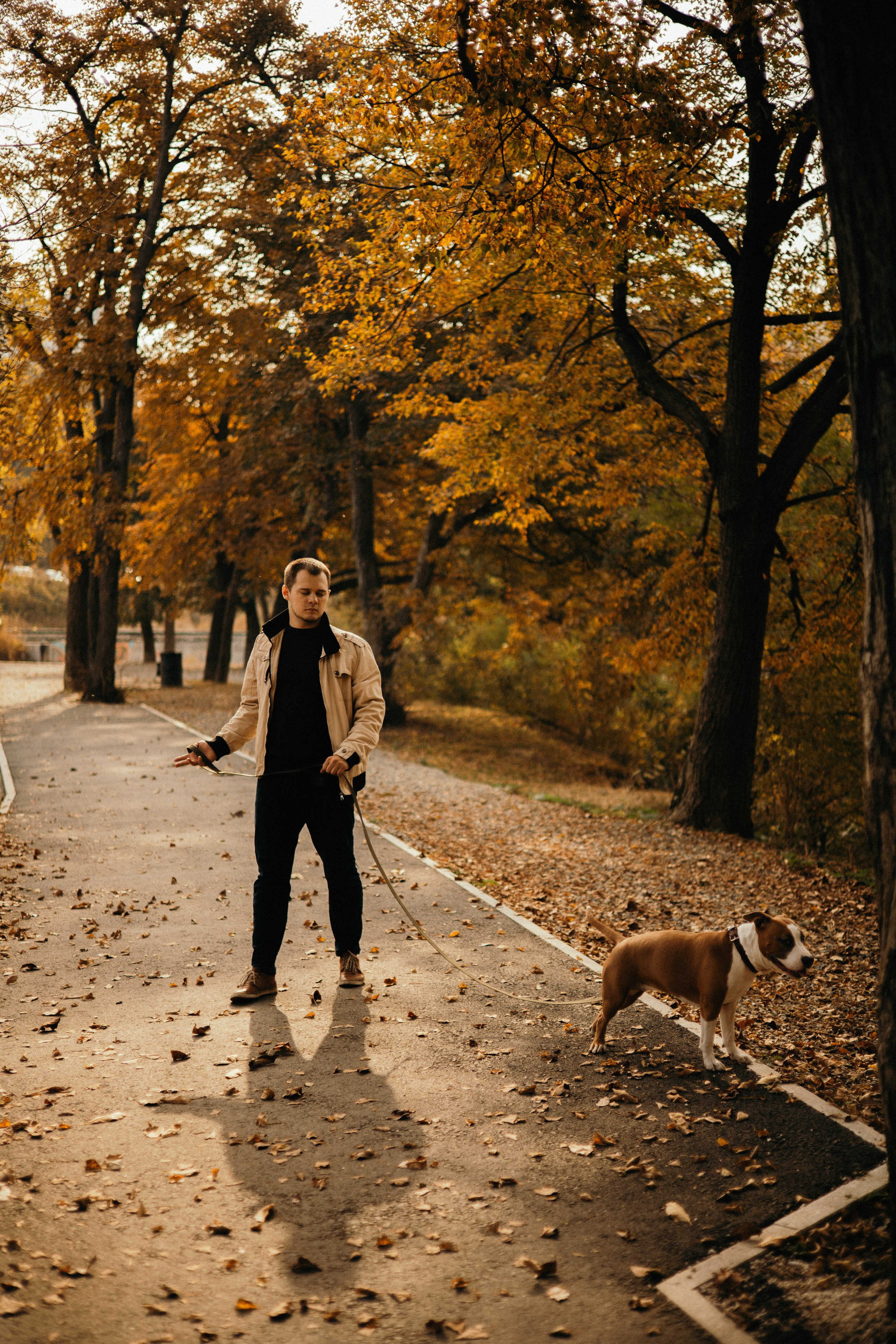 Лаффи и ее семья. Фотограф — анималист Владивосток, Алина