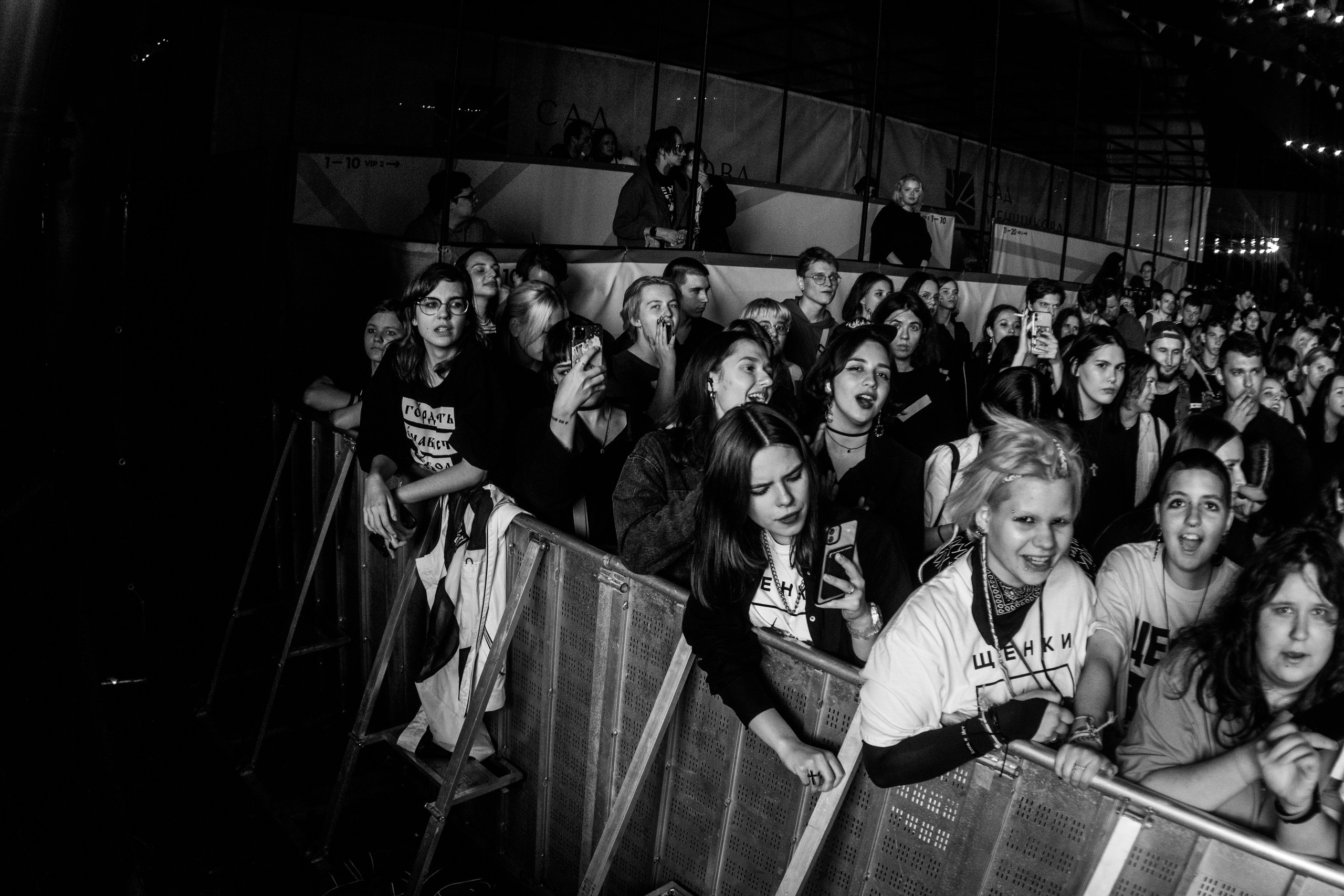 Щенки. Портретный и концертный фотограф в Санкт-Петербурге Егор Телятников