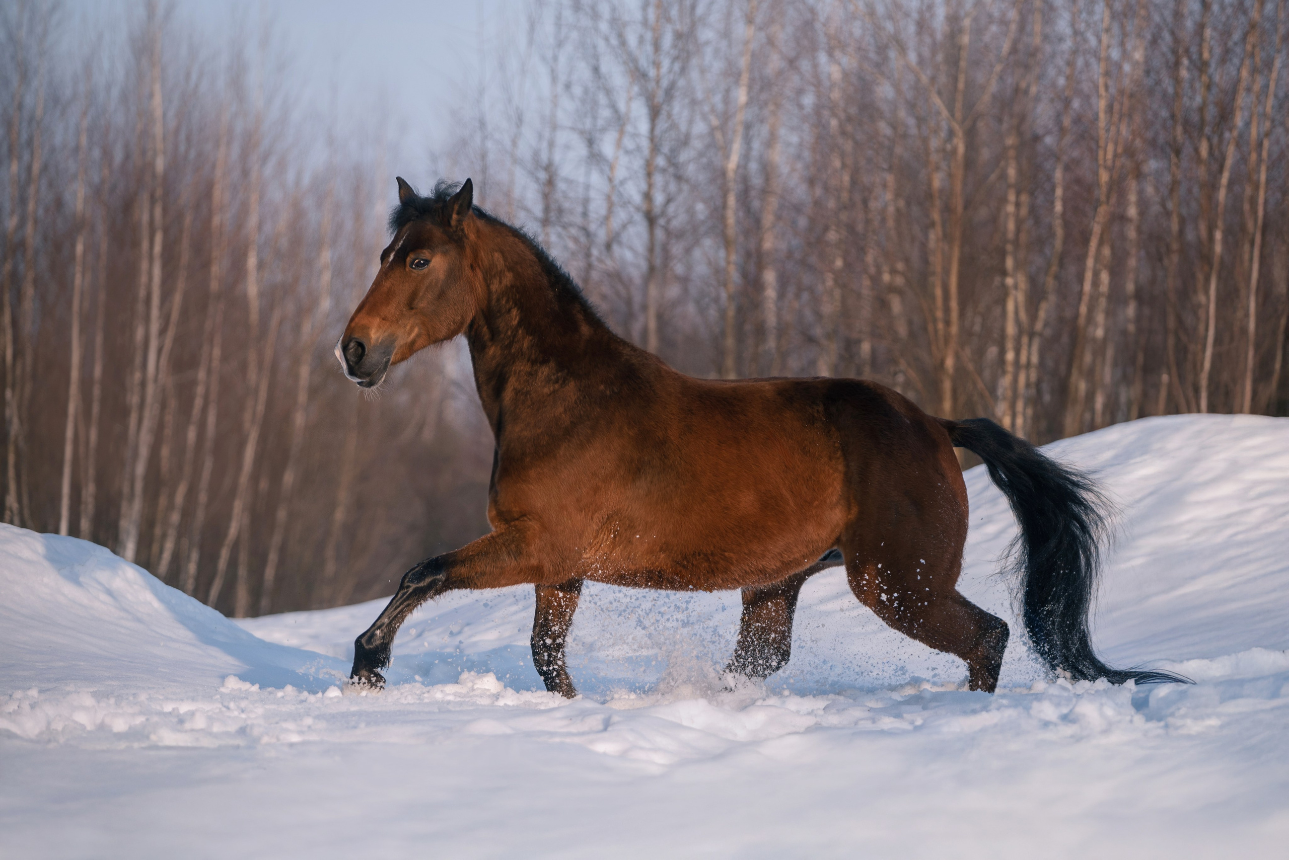 Кантри Клаб. Фотограф Анна Тюрина