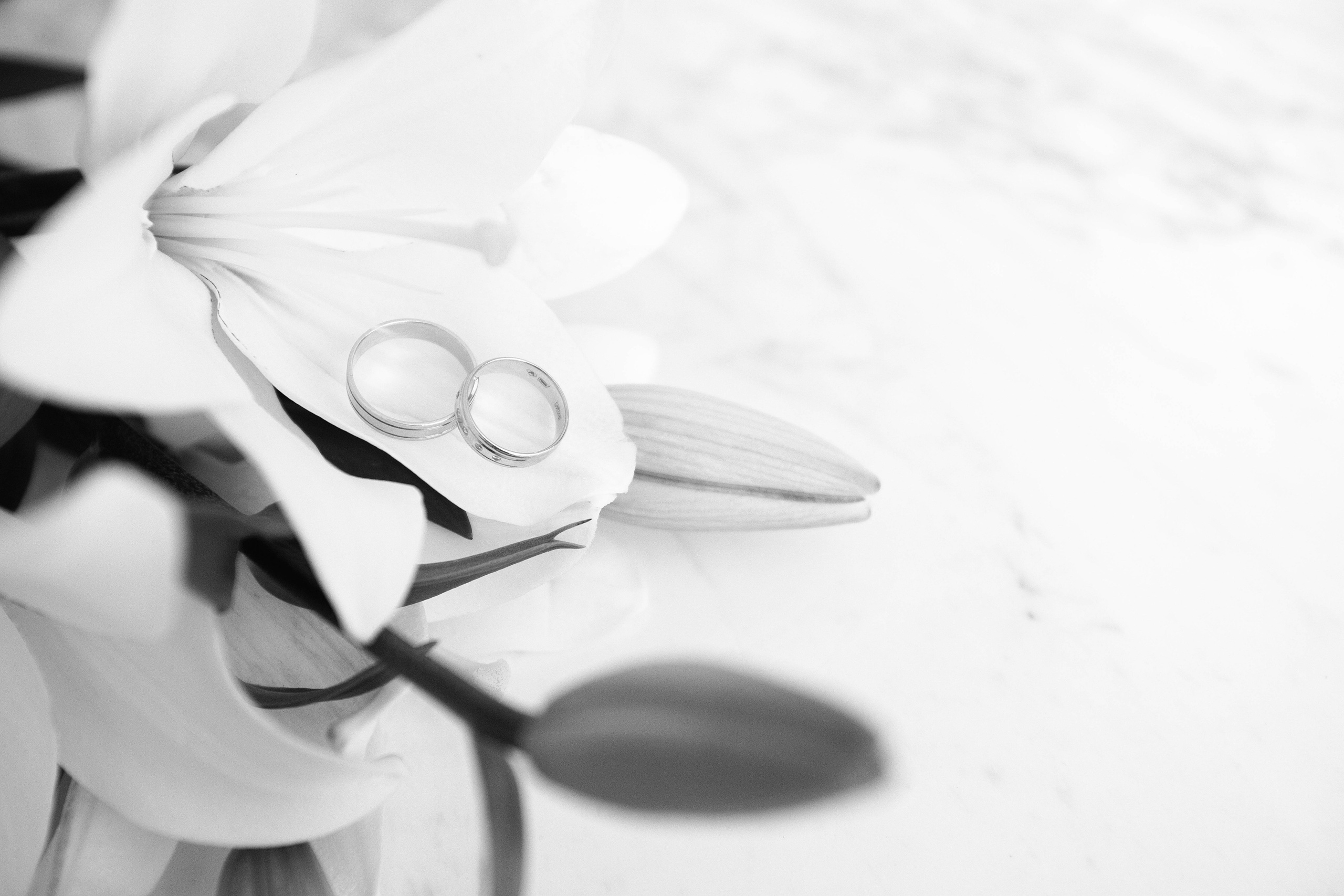 Катерина и Сергей. Свадебный фотограф Ростов-на-Дону Виолетта veslers.ph