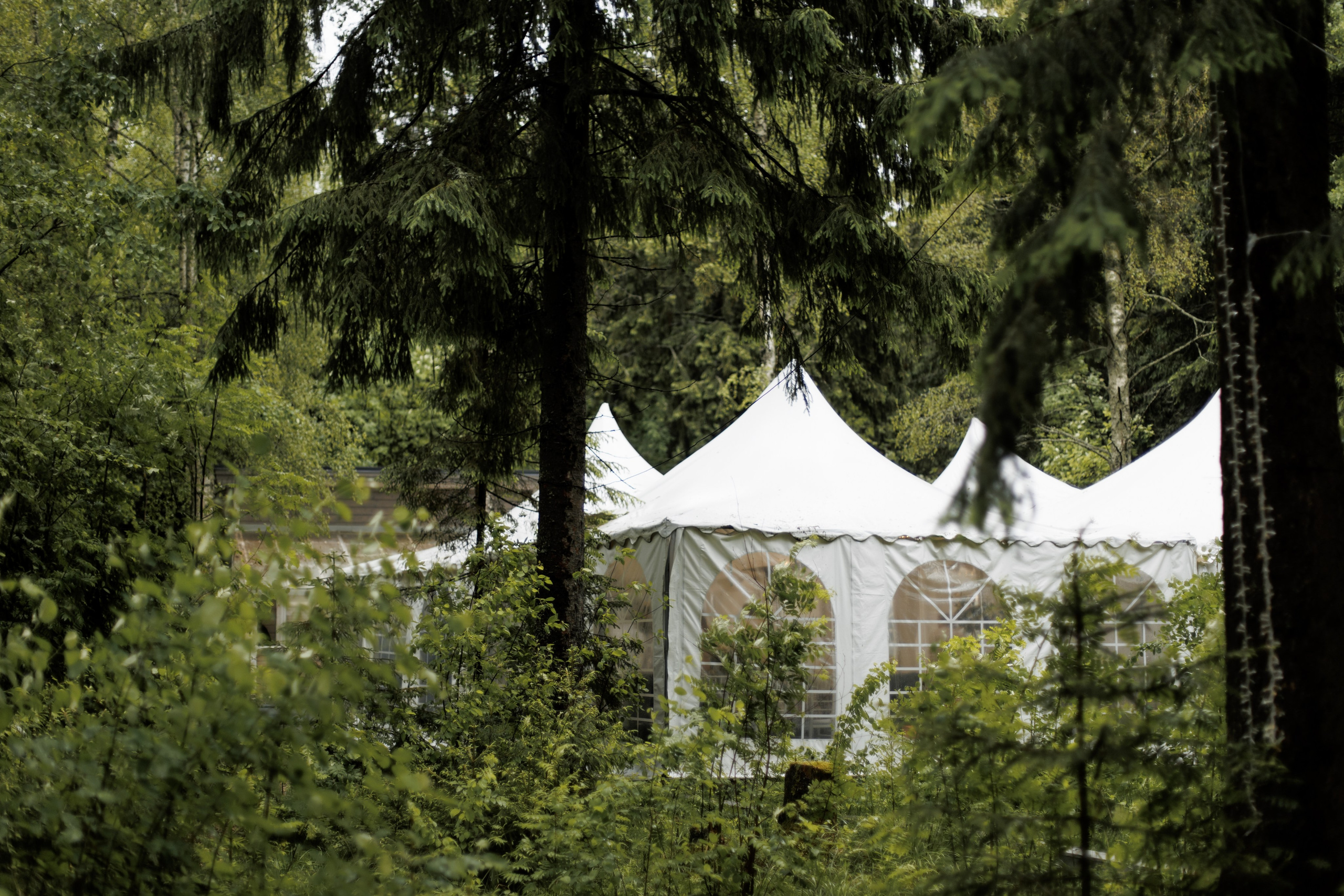 Sara. Свадебный фотограф Екатерина Худякова — Ярославль, Санкт-Петербург, Москва