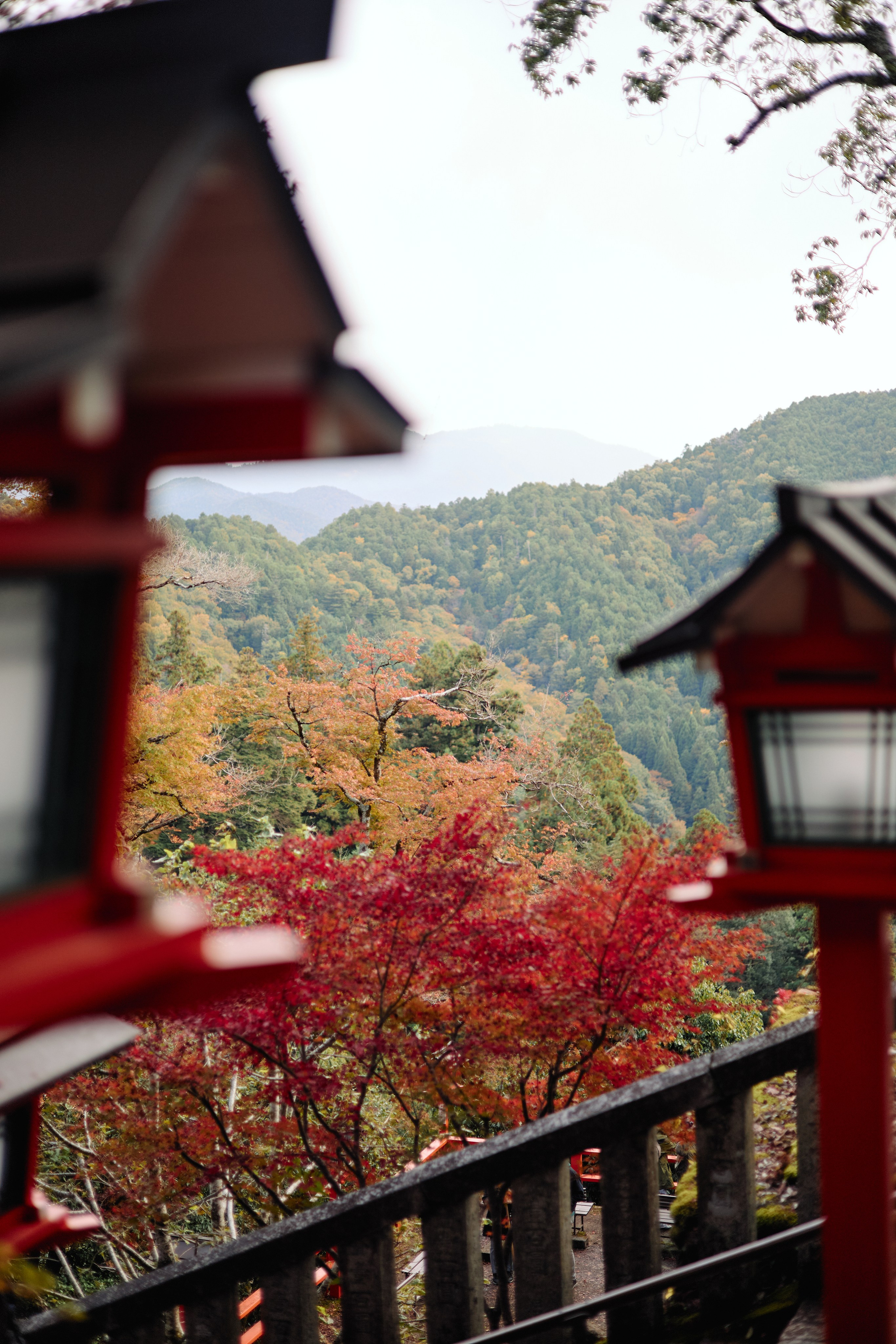 Япония. Профессиональный Фотограф во Владимире, в Москве и в Суздале — Полина Романычева
