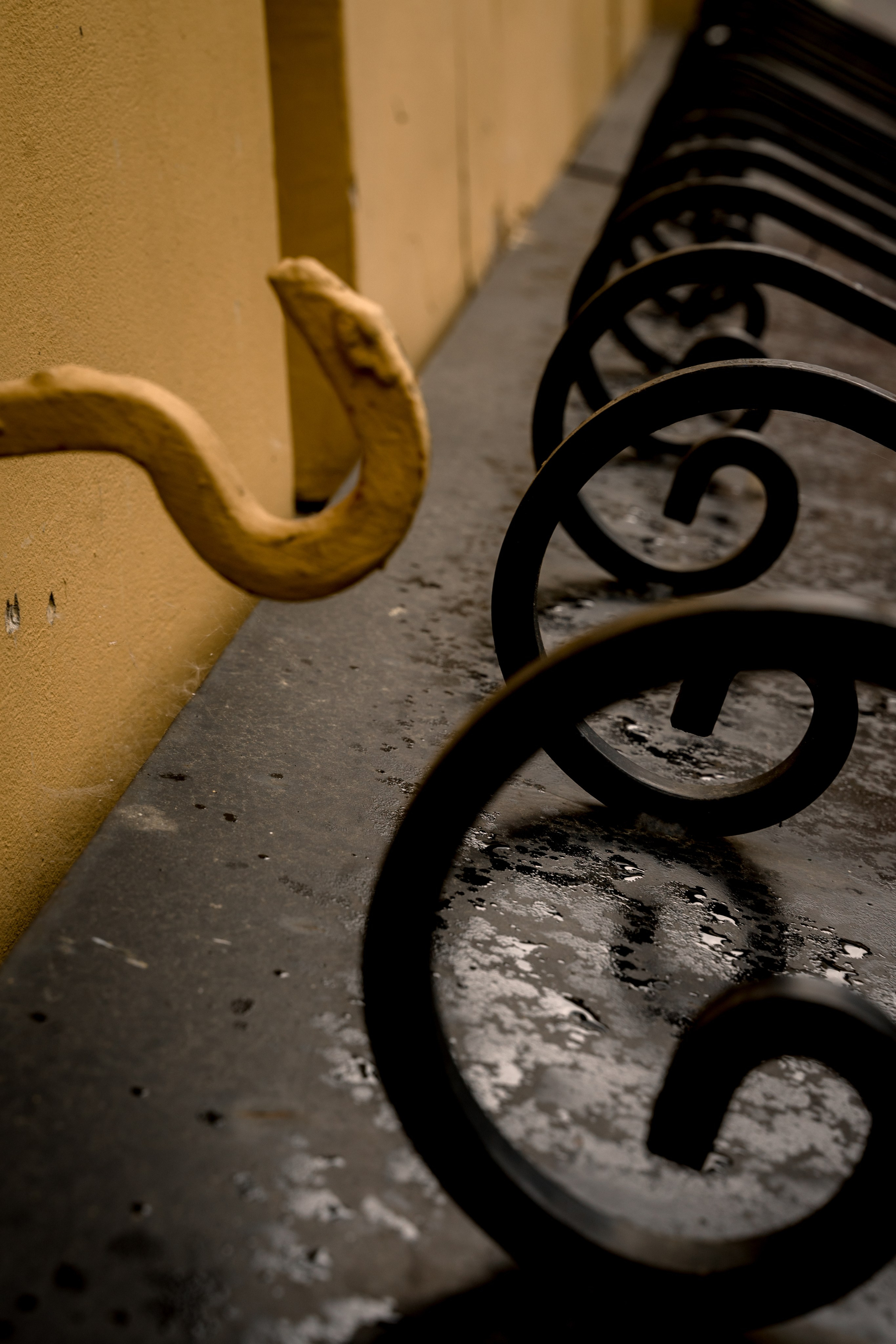 Фотомедитация с Марией Гулыниной. Контент-фотограф в Нижнем Новгороде Антошина Ольга