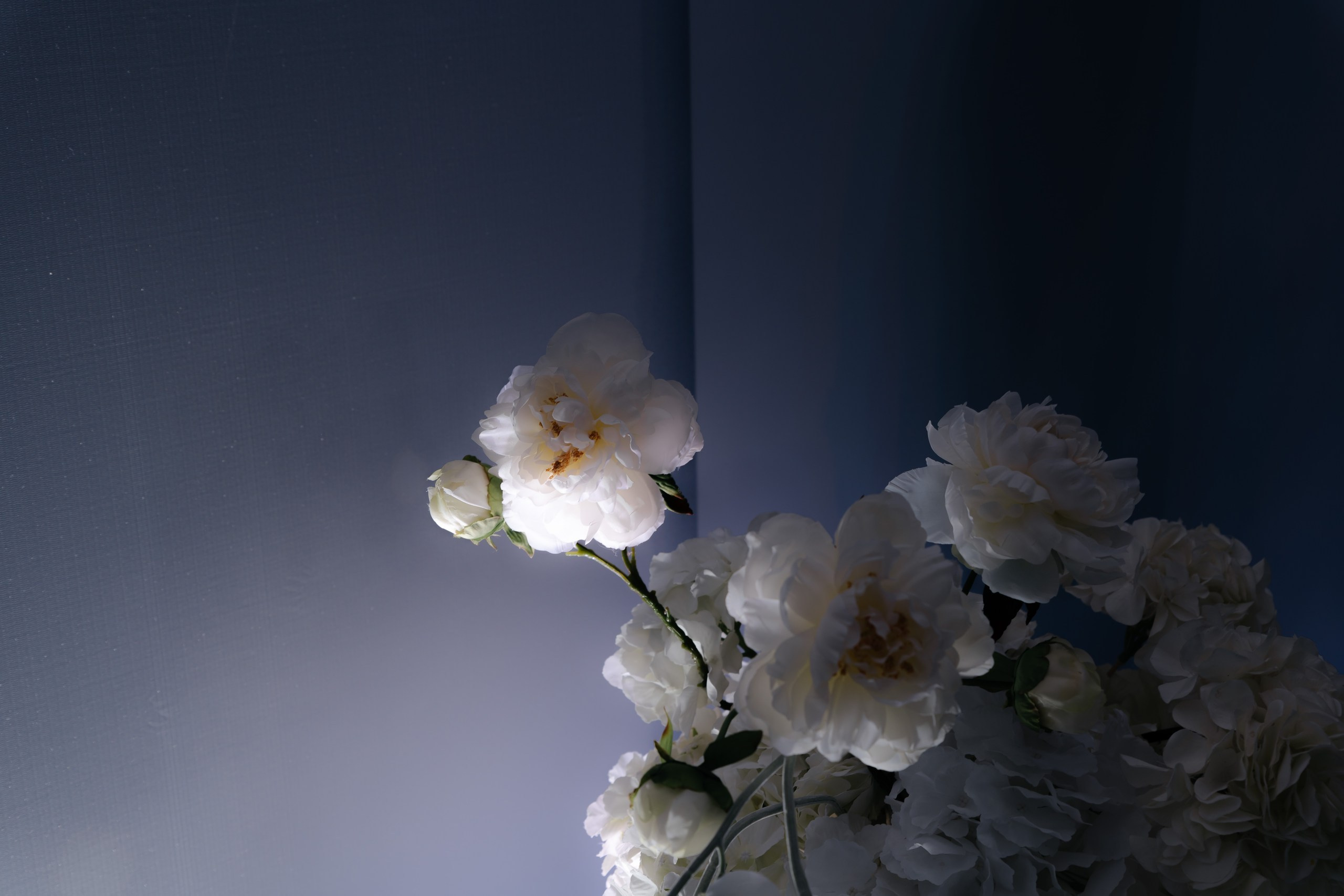 Фото: Носуленко Анастасия; декор: Юлия Гулякина 