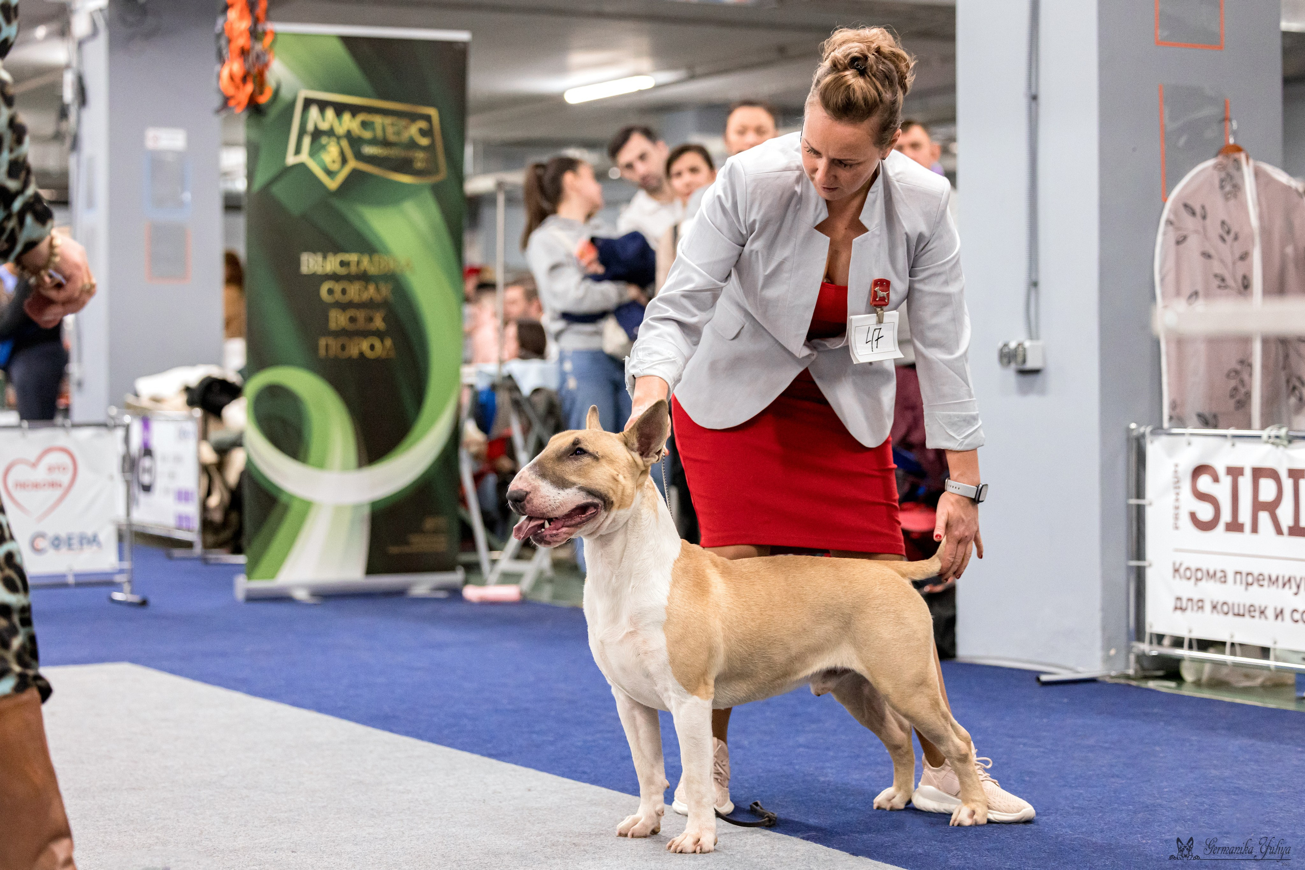 Сфера 29.10,Крокус 4.11,Сфера 12.11.2023. Фотограф-анималист Юлия Германика