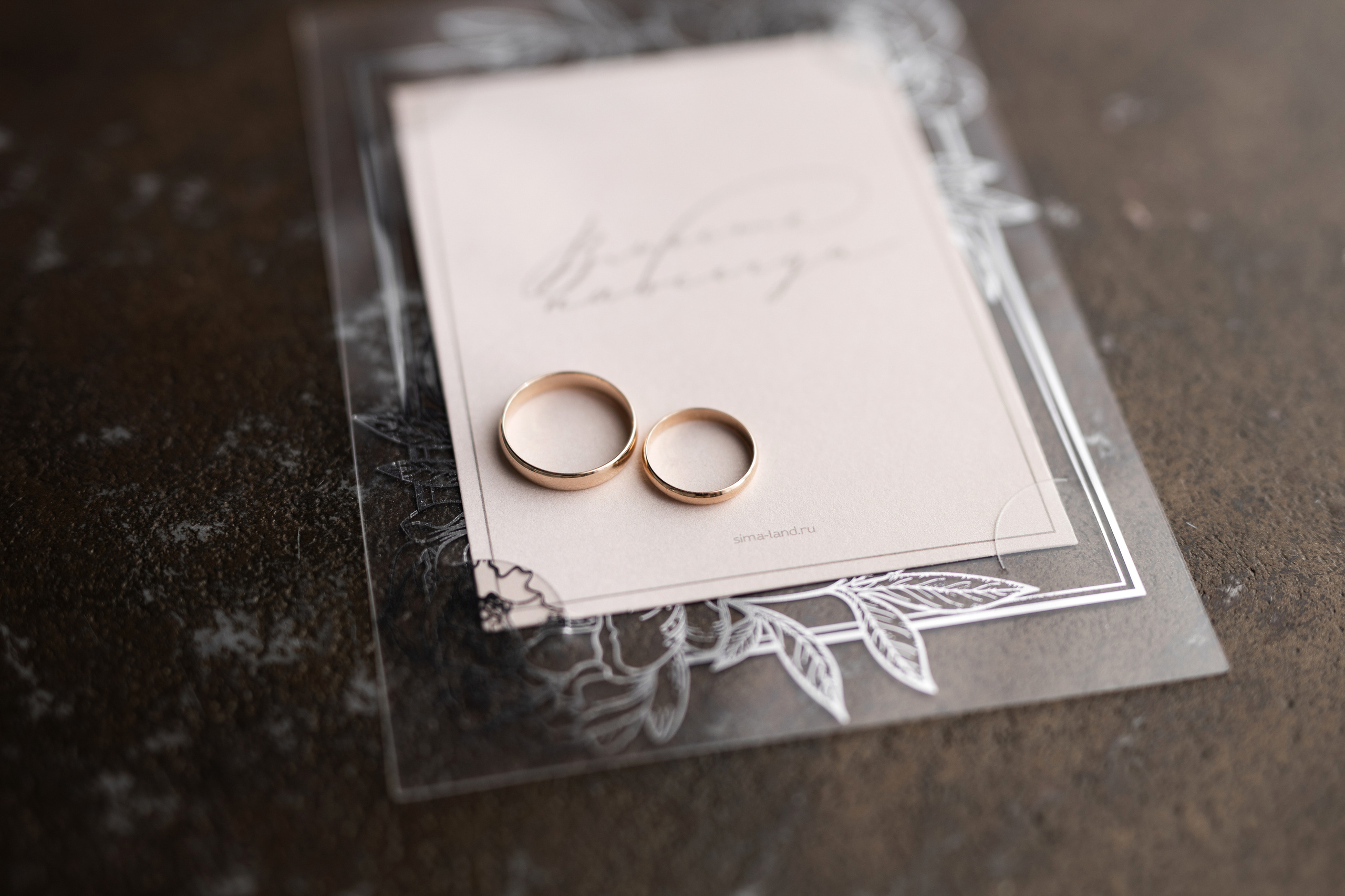 Константин Полина. Фотограф Александр Литвинов