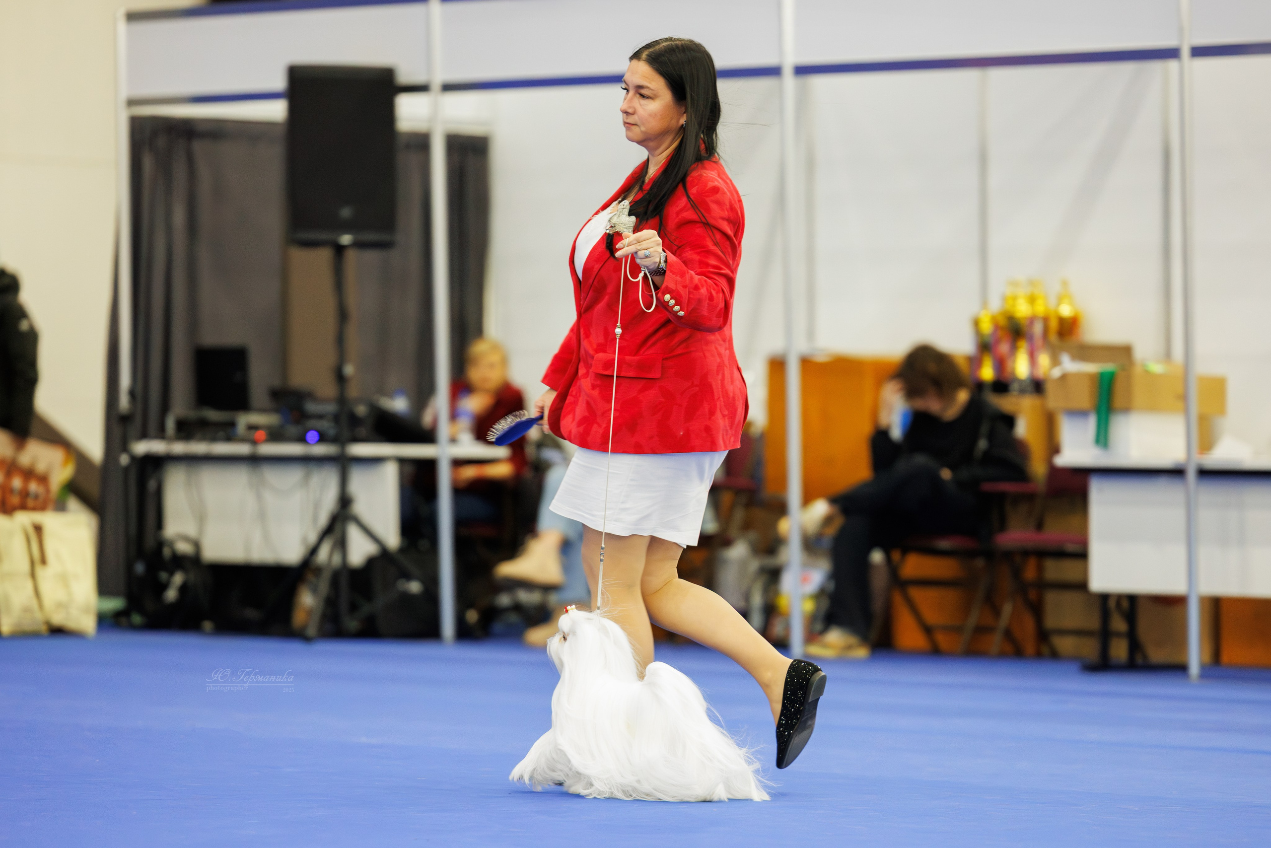 Питер 12-13.12.2025. Фотограф-анималист Юлия Германика