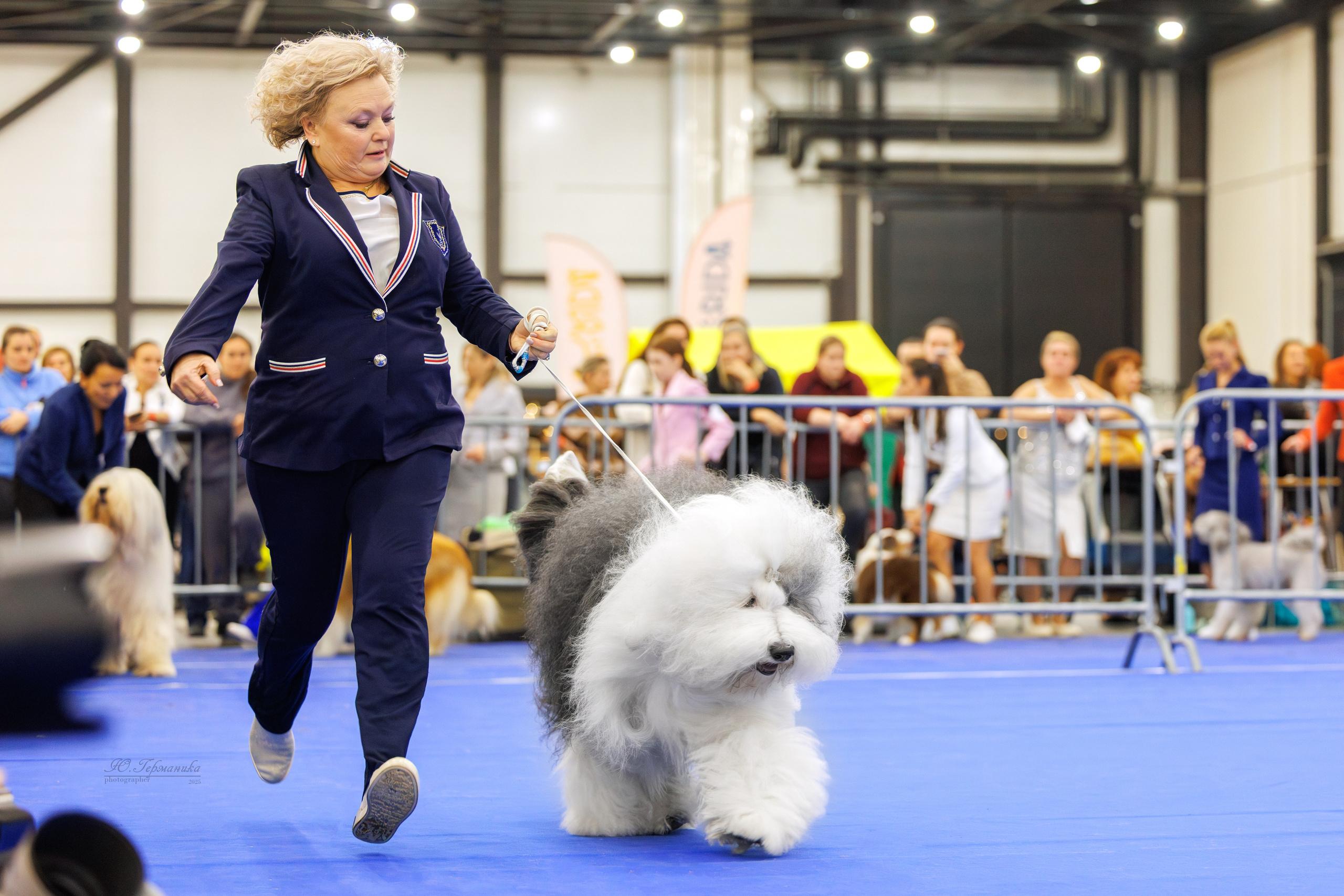 Питер 12-13.12.2025. Фотограф-анималист Юлия Германика