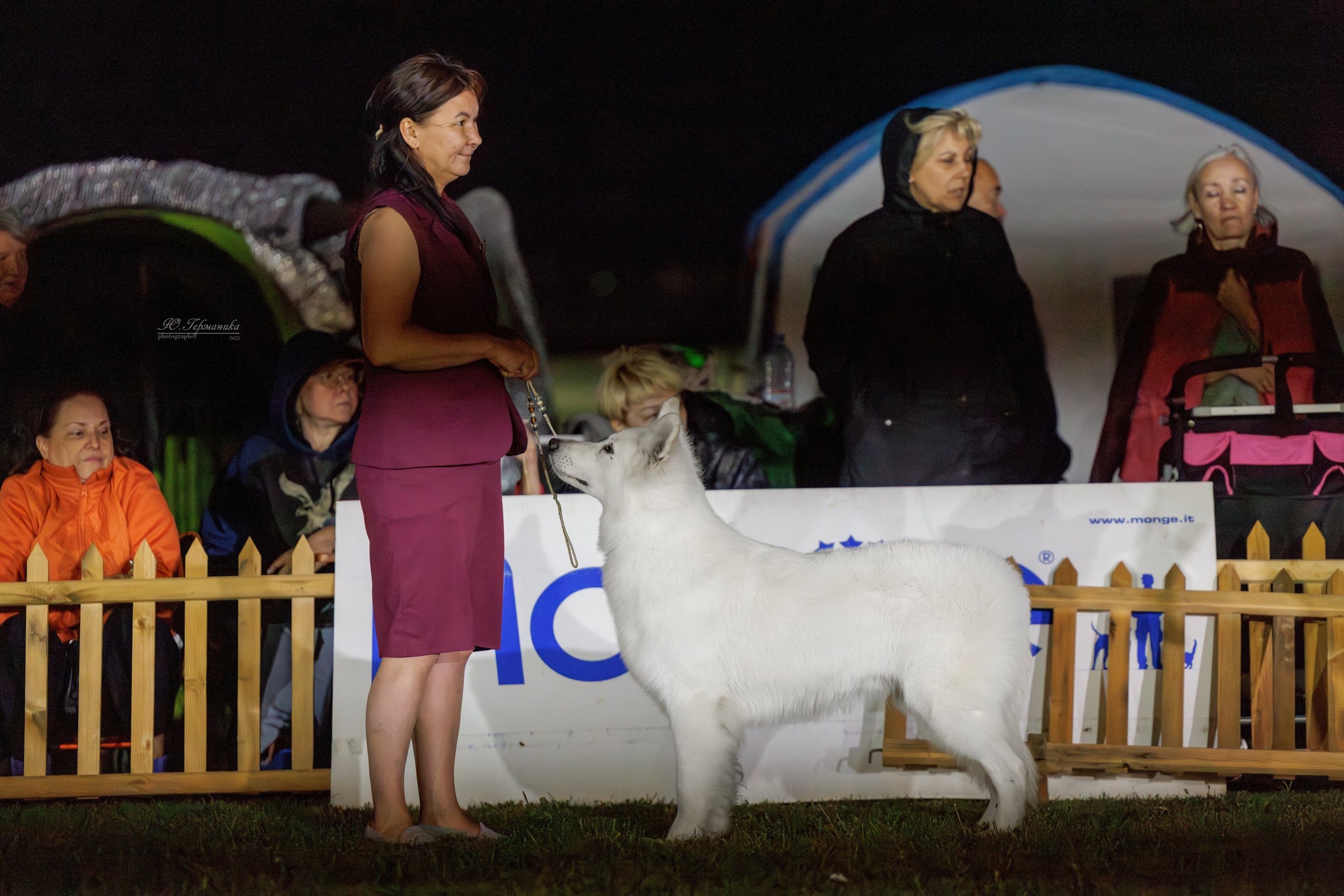 Ереван 3хCACIB 23-25.06.2025. Фотограф-анималист Юлия Германика