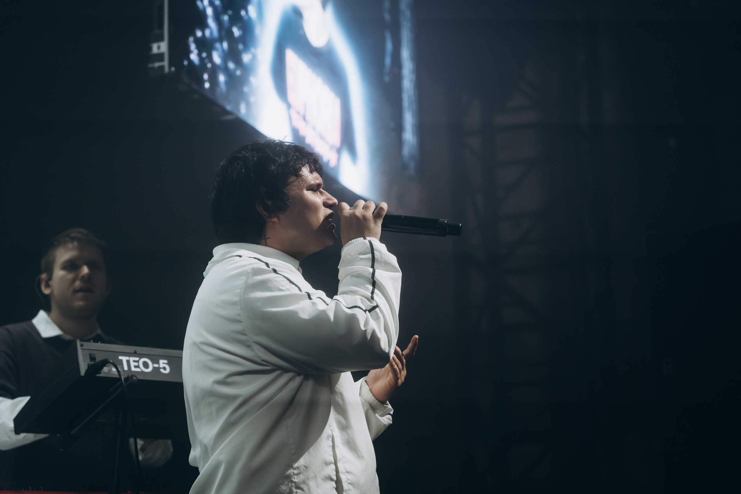 SALUKI. Фотограф Санкт-Петербурга