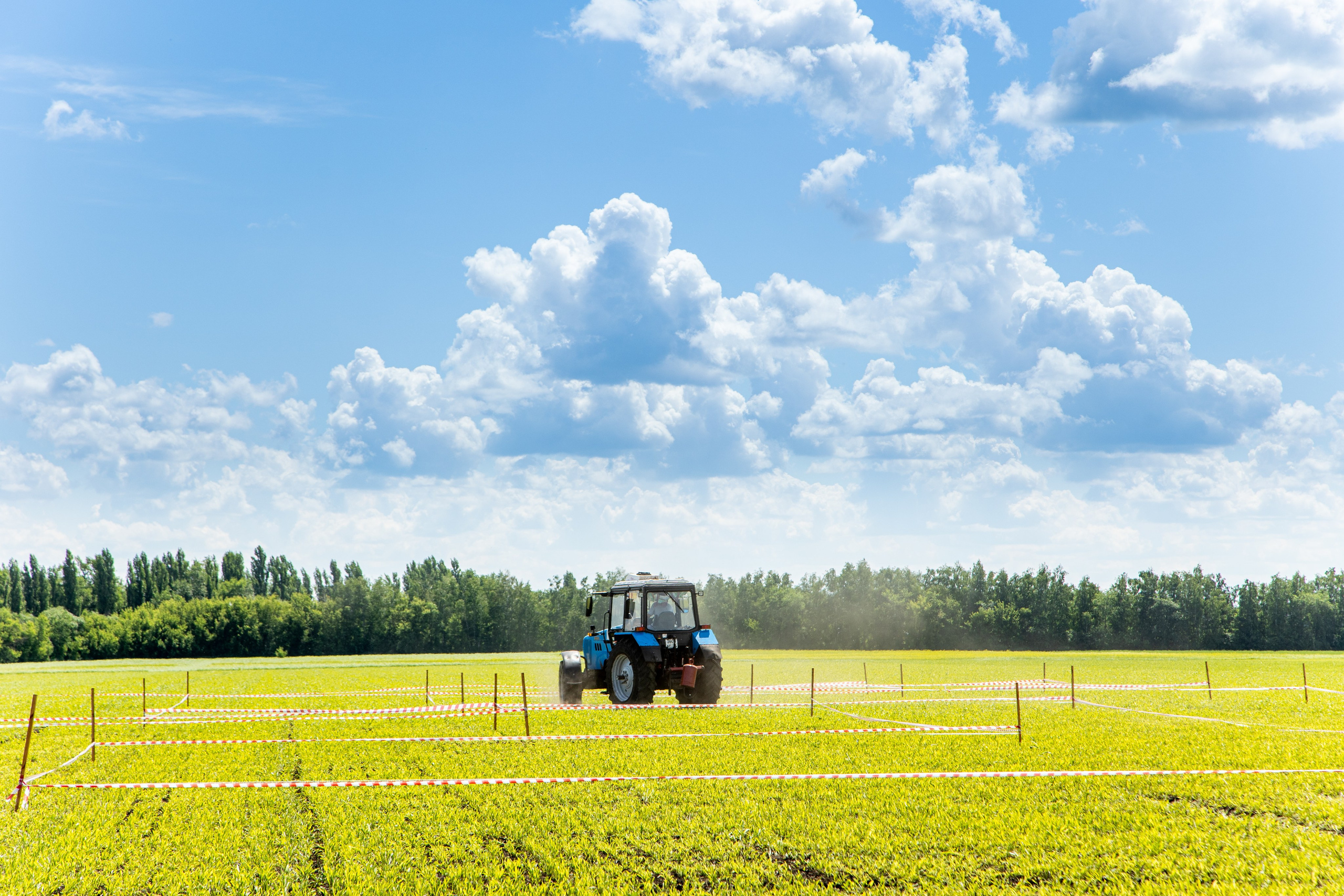 День Поля 2022. Владислав Волков | Фотография и видеосъемка в Воронеже