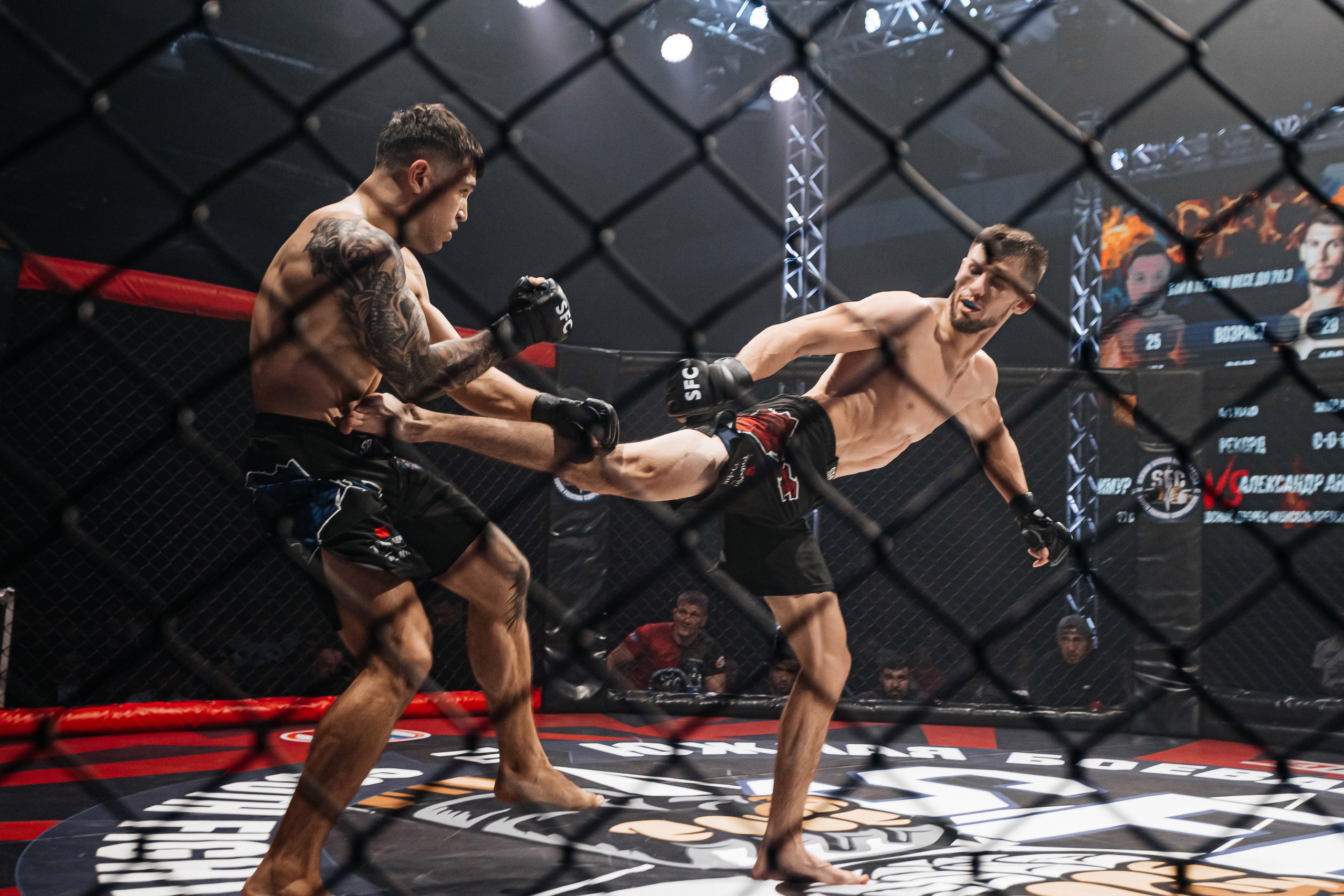 SFC III турнир по боям ММА. Аминов Руслан | Фотограф