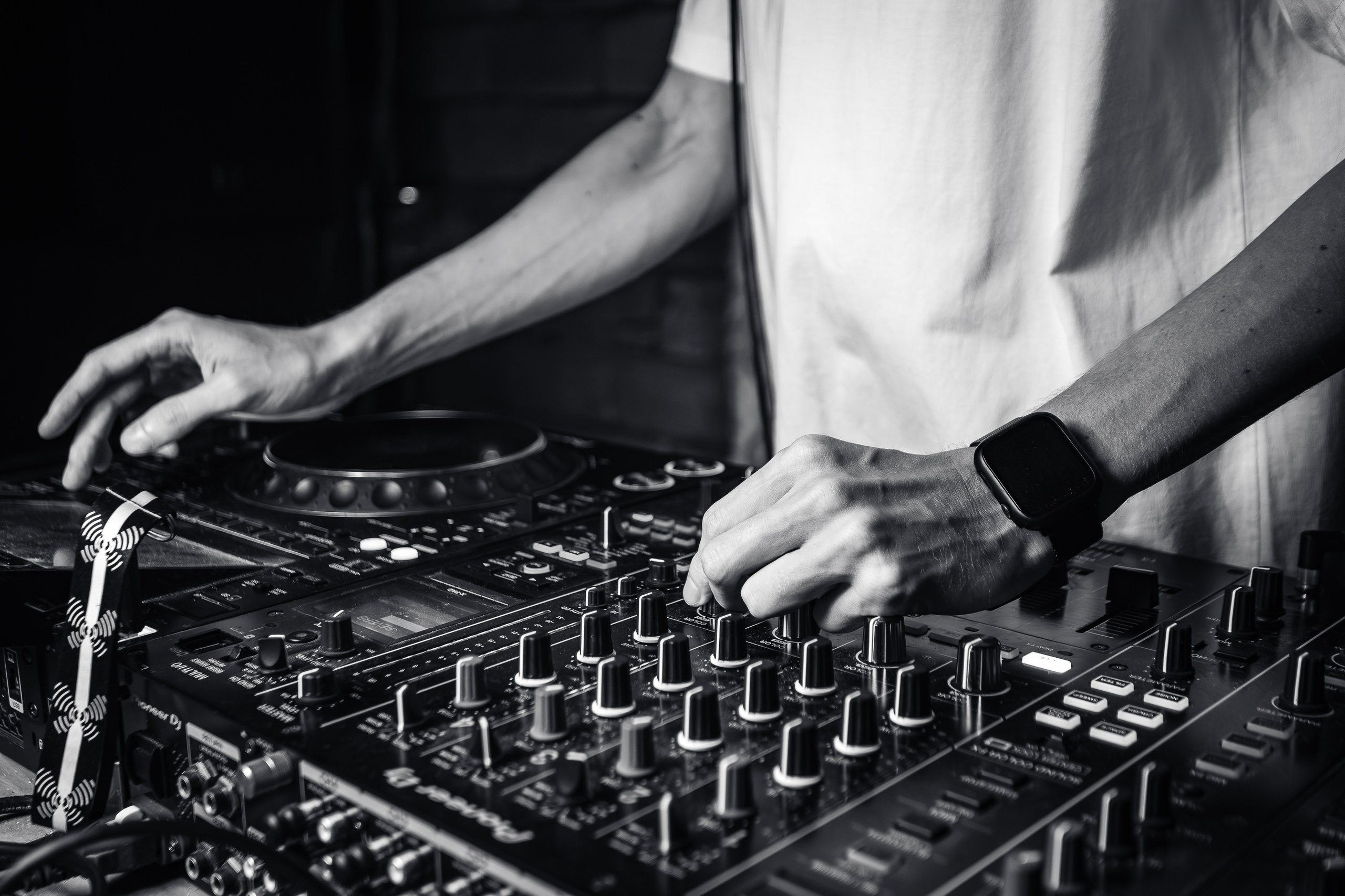 «КРАВЦ"_Чайка на пляже_Ялта_27.08.2025 г. Аминов Руслан | Фотограф