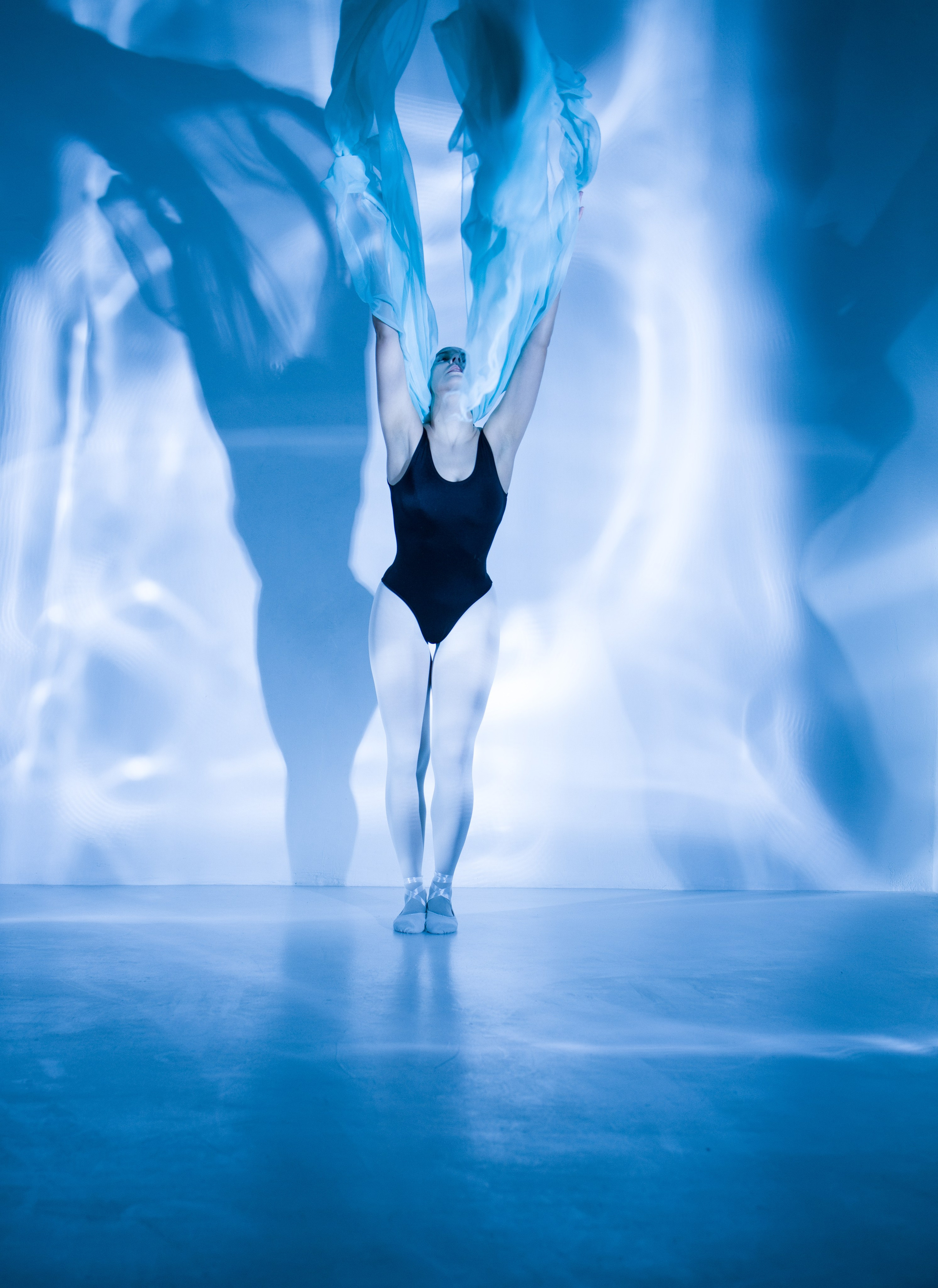 Лилия. Художественная фотография