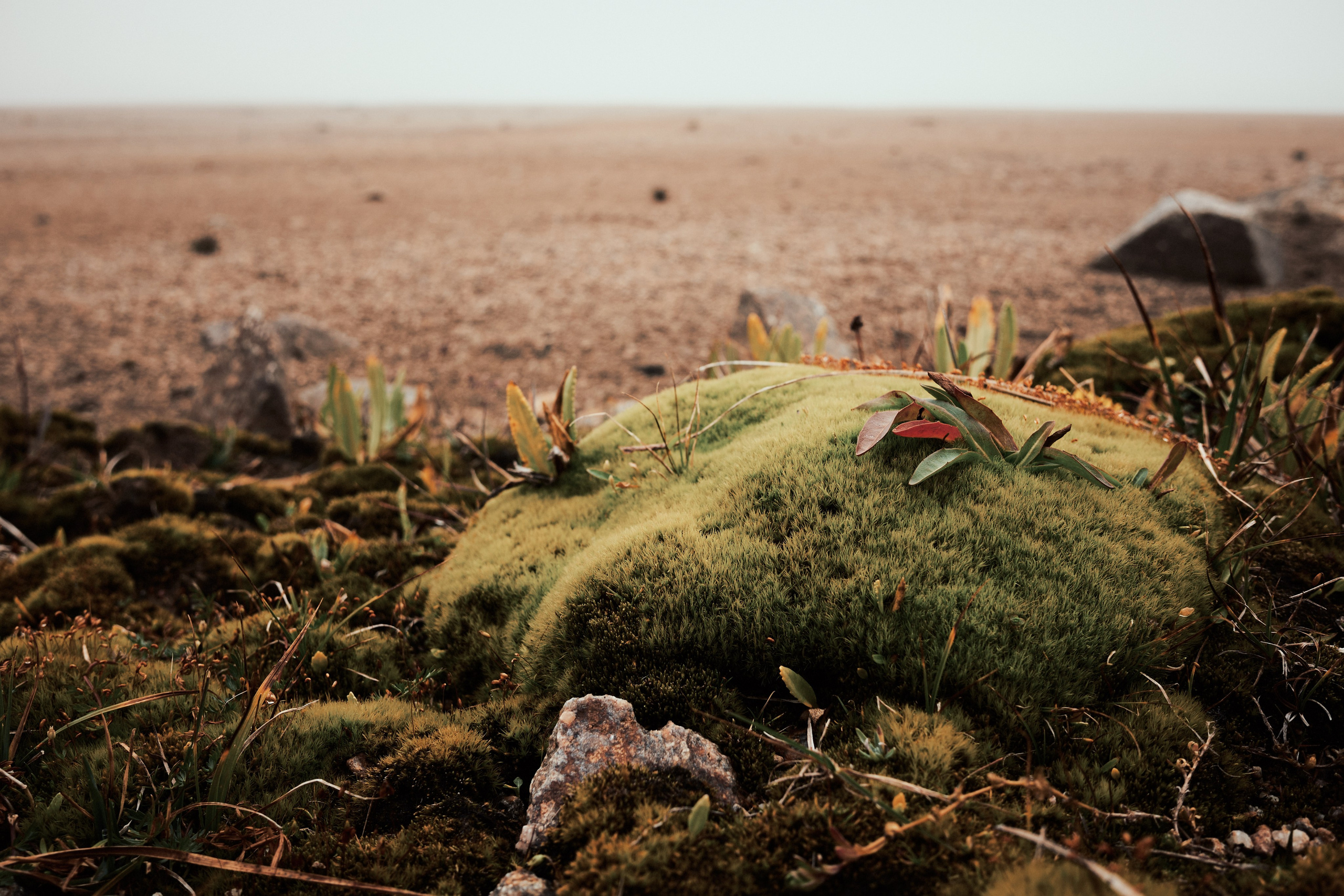 Эльбрус. Сентябрь 2024. Репортажный фотограф Дмитрий Литвинский. Минск, Беларусь, мир