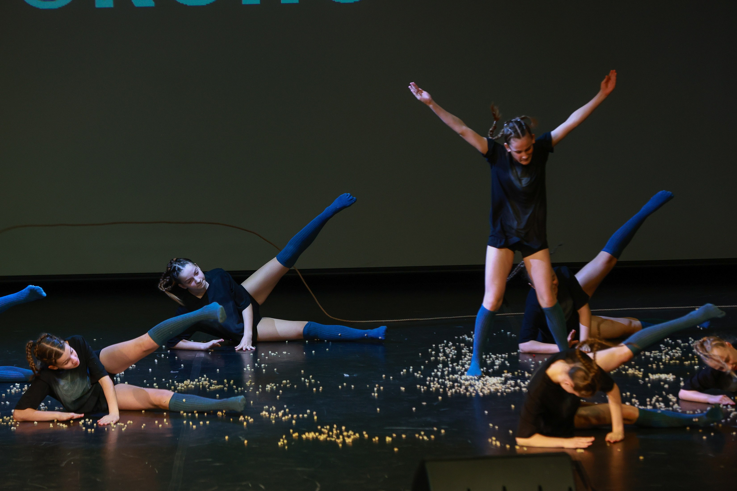 Небесные ласточки на Танц ЭКСПО 2026. Фотограф Юлия Мальцева