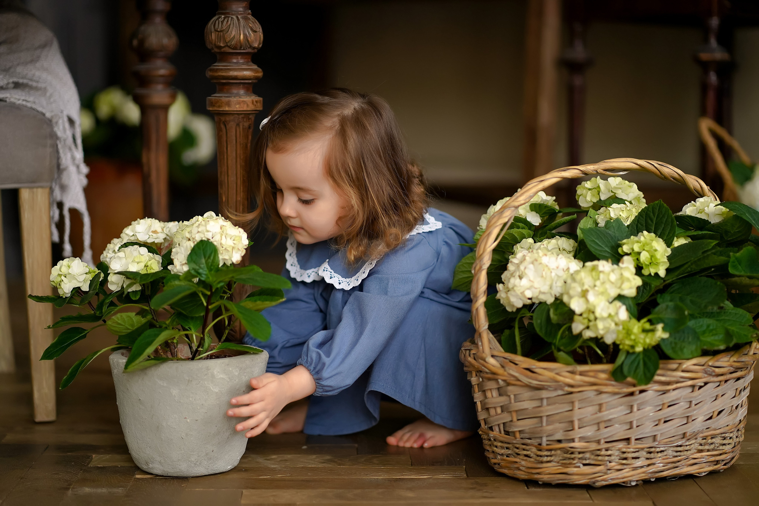Маленький цветочек. Фотограф Татьяна Митрофанова