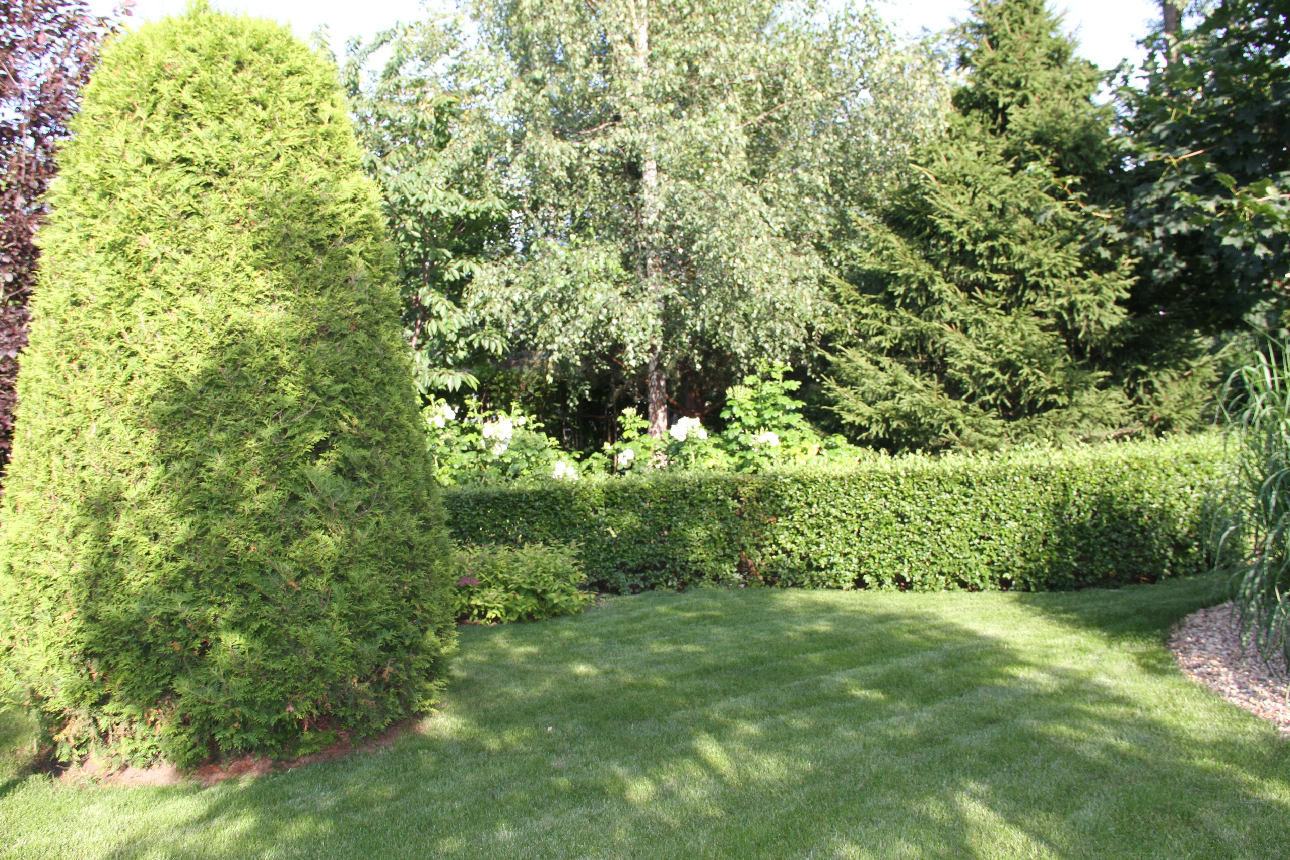 Ландшафтный дизайн. Все виды ландшафтных и строительных работ