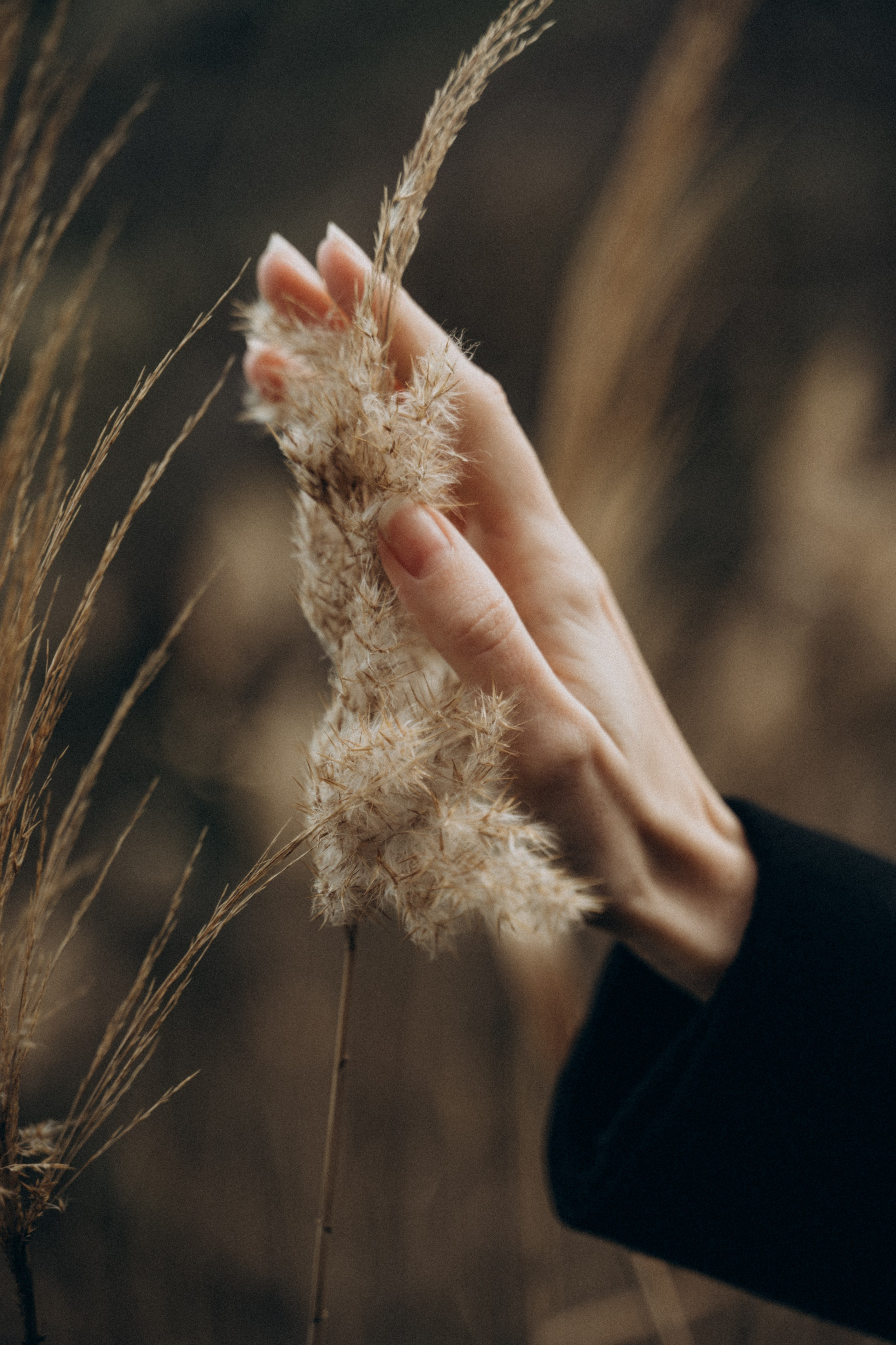 Арина. Мария Кобзева, фотограф в Ялте, Крым