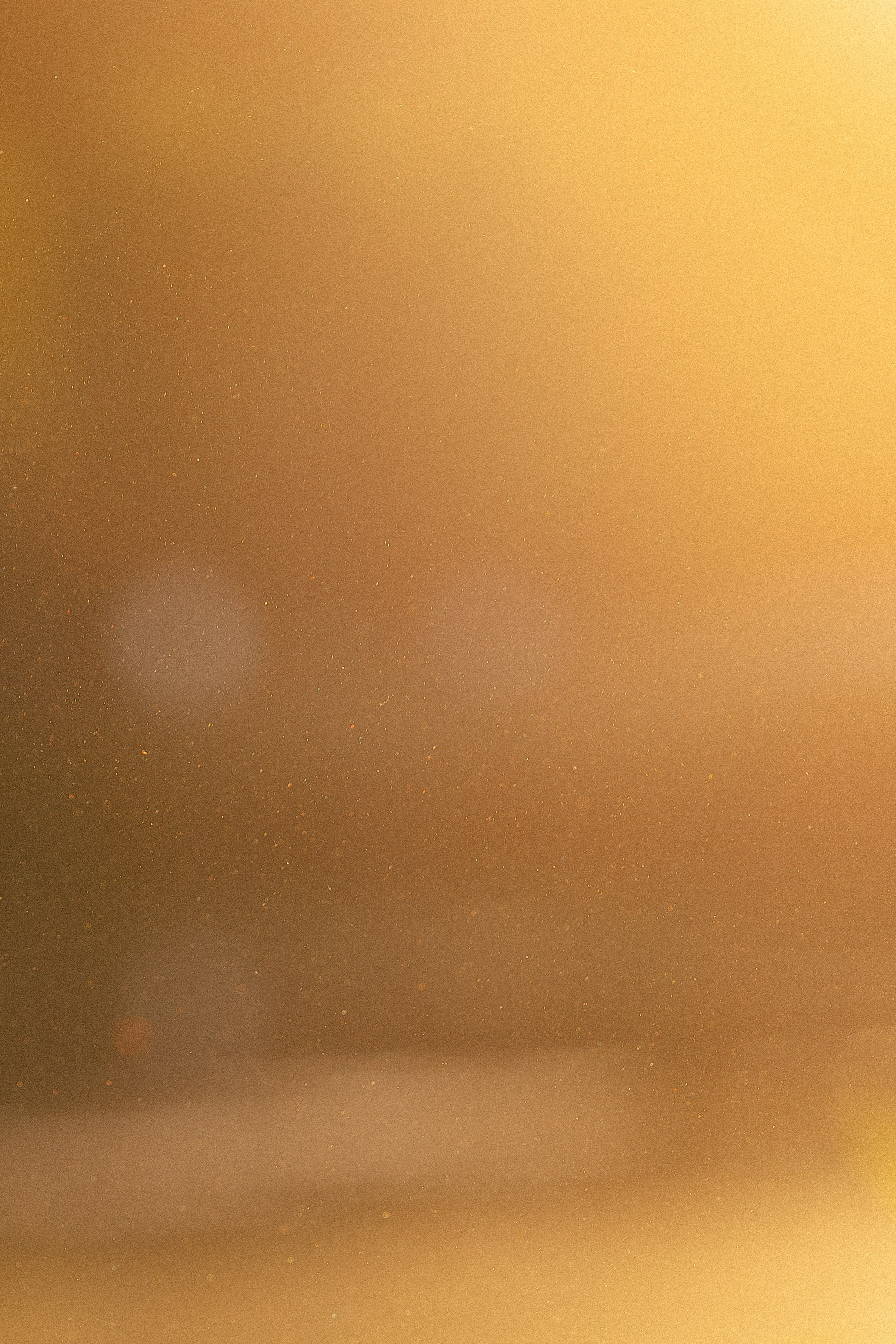 Катя, Леша, Лея и Трой. Фотограф и видеограф анималист Аганина Дарья