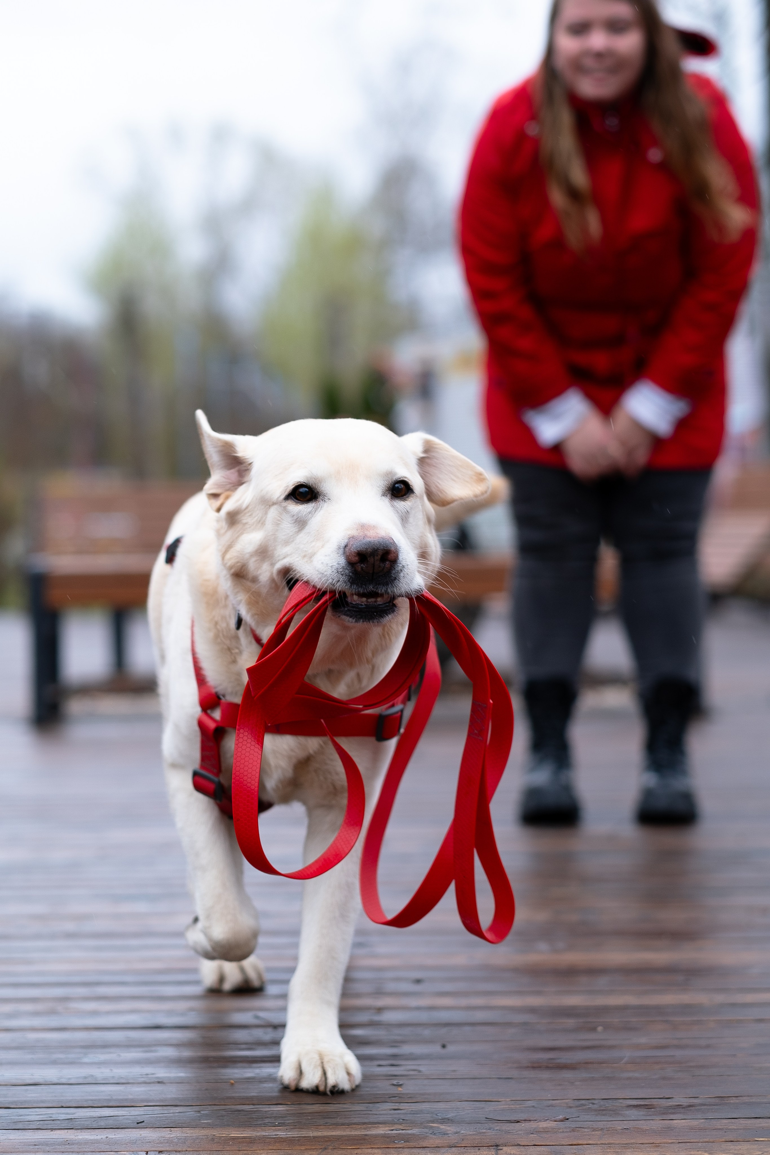 Света и Лето. Фотограф и видеограф анималист Аганина Дарья