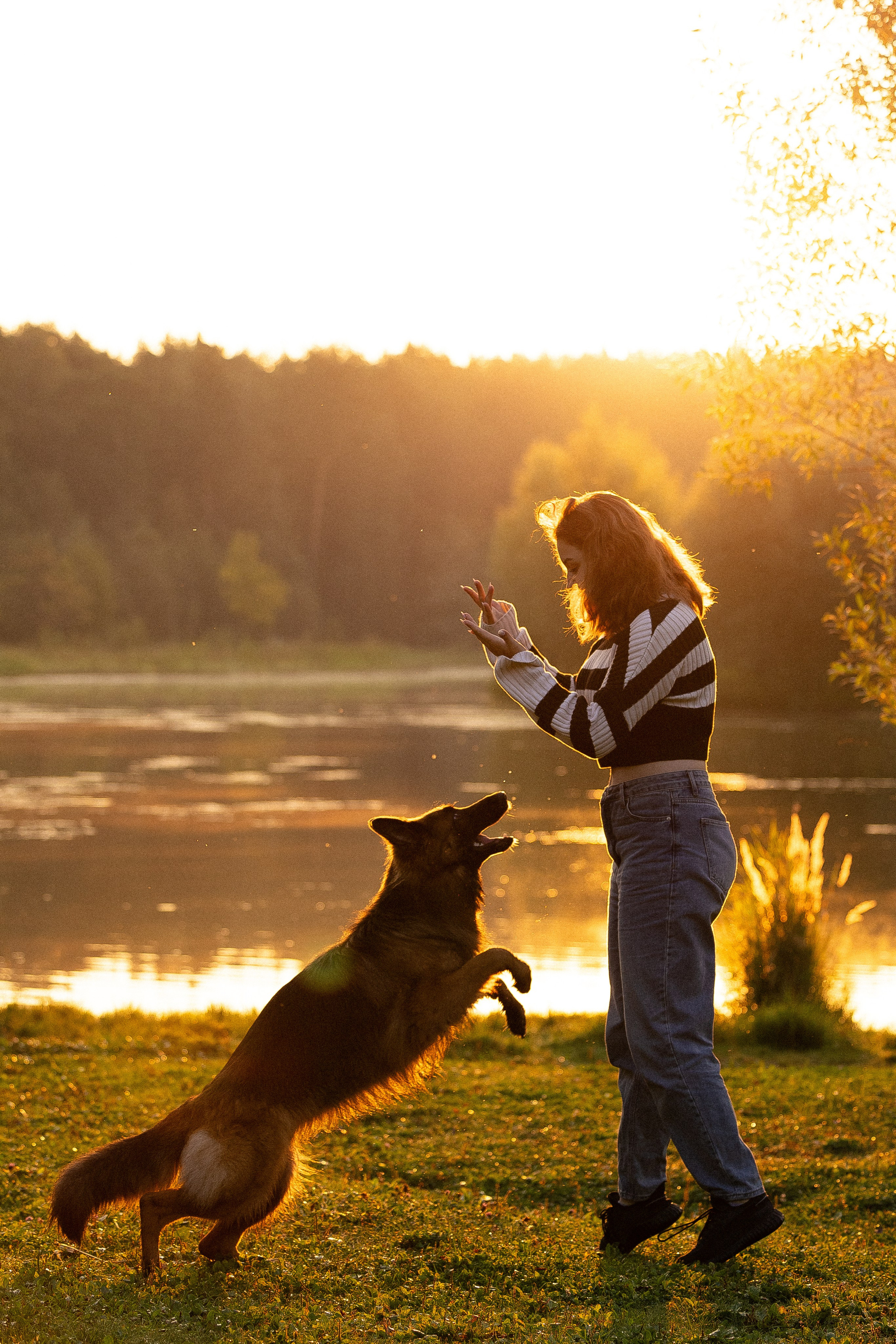 Алена, Матвей, Фанни и Фрея. Фотограф и видеограф анималист Аганина Дарья