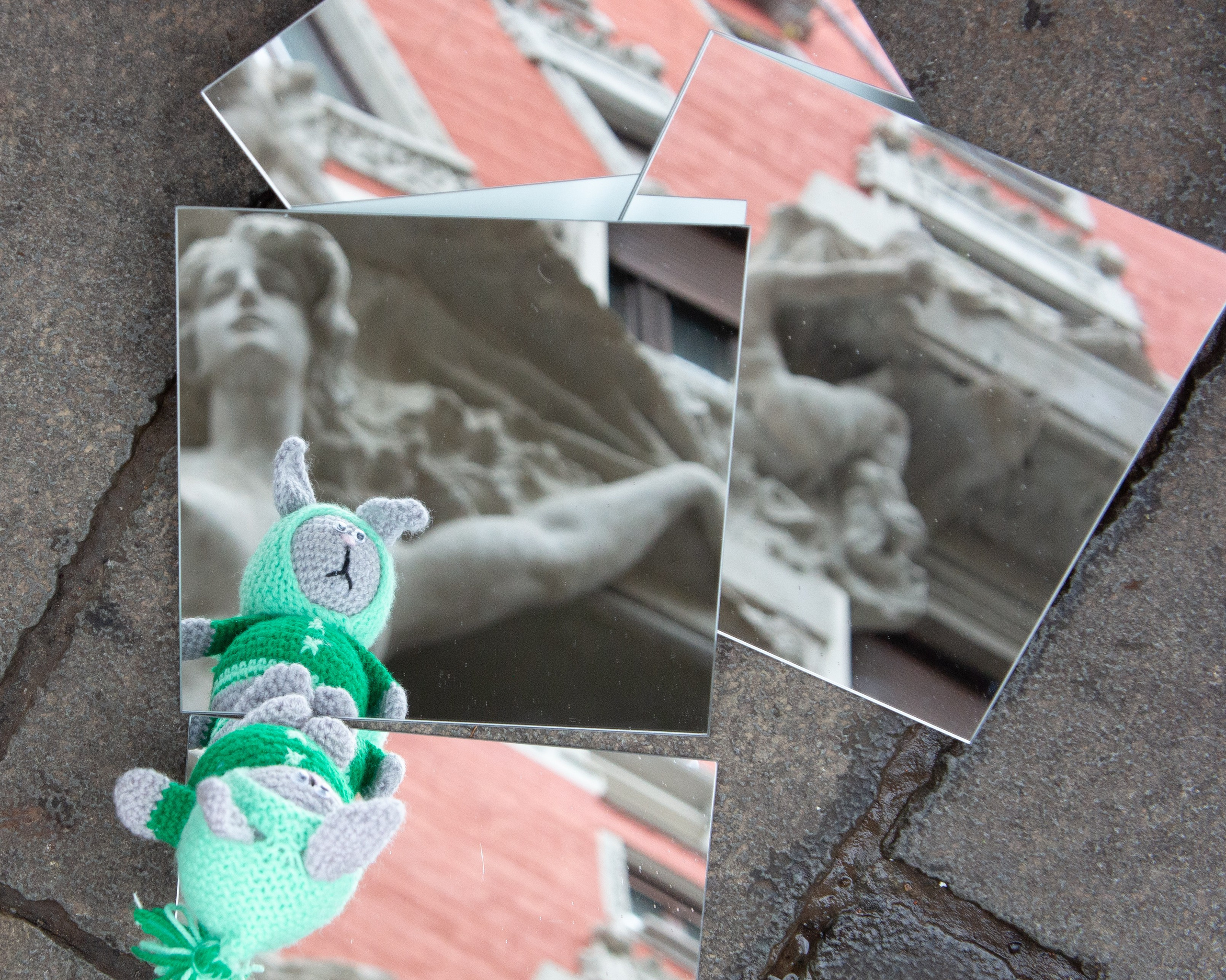 Mio leprotto. Fotografo Alina Imanbaeva Trieste e FVG