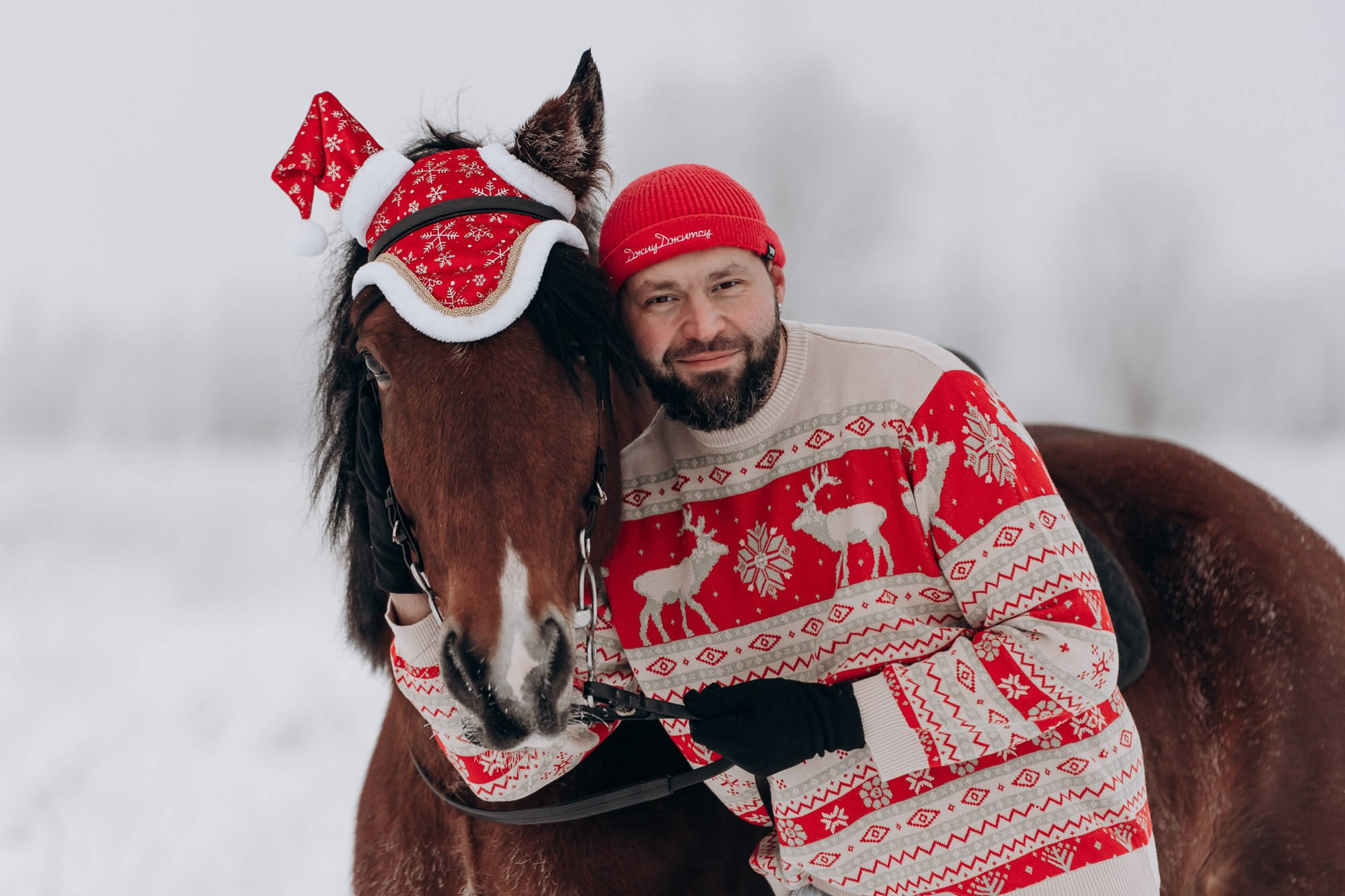 Зимняя фотосессия с лошадьми для двоих. Свадебный и репортажный фотограф в Ярославле Евгений Сальников