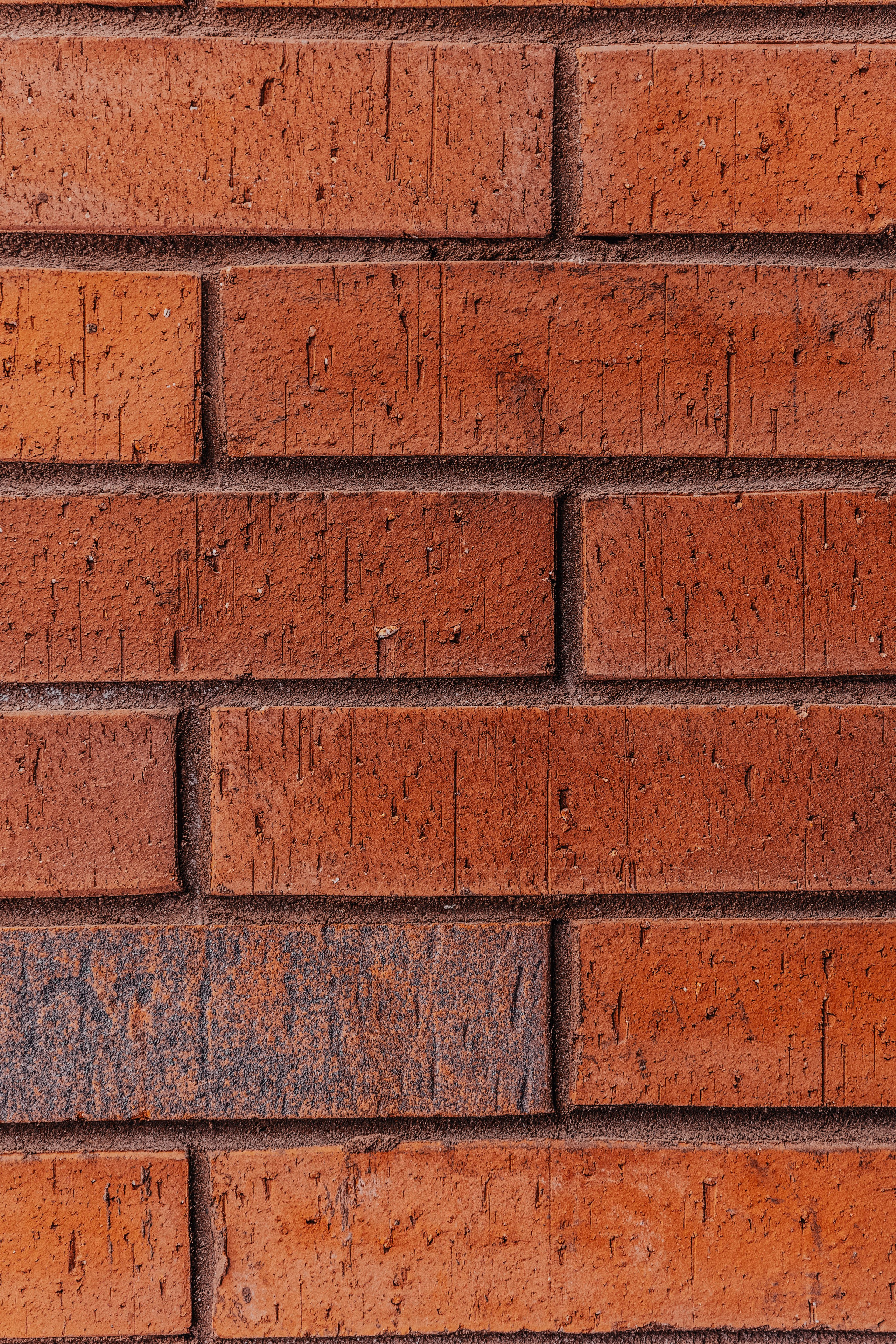 БИЗНЕС КОНТЕНТ. Портфолио свадебного фотографа. Роман Каргаполов