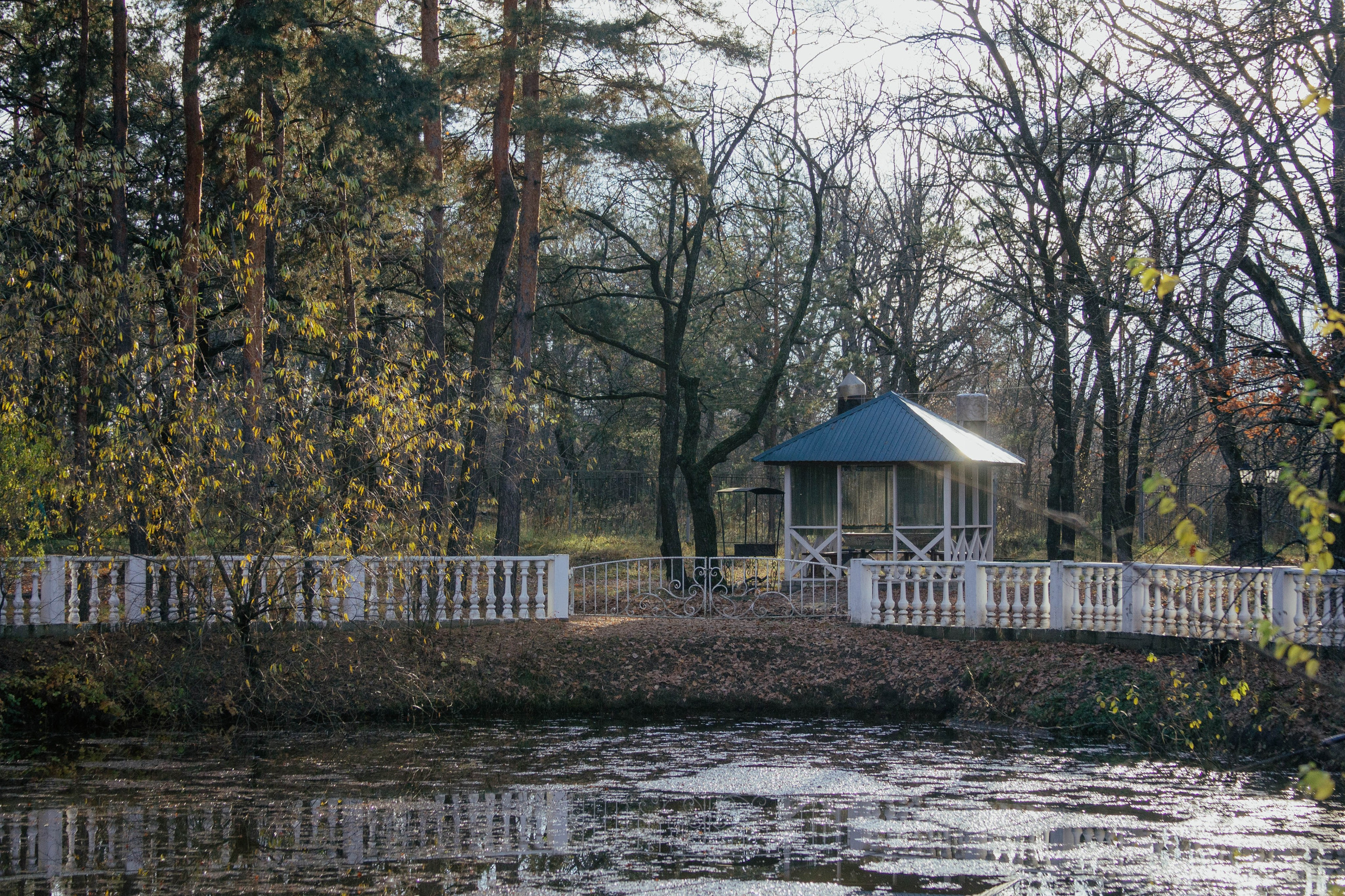 Этерна 2025. Фотограф Маша Корнеева