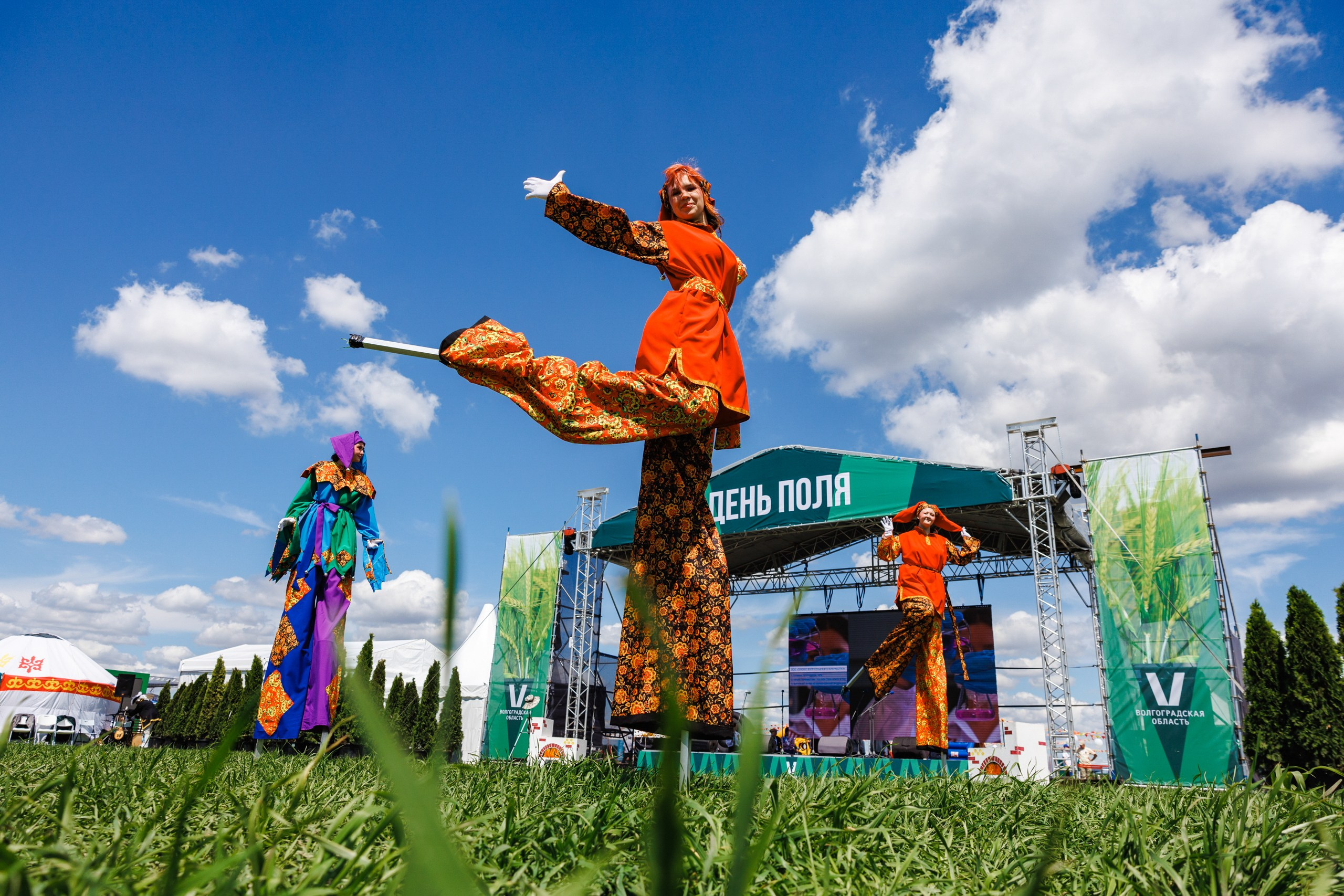 День Поля 2025 Волгоград. Фотограф Ставрополь Петр Голубенко