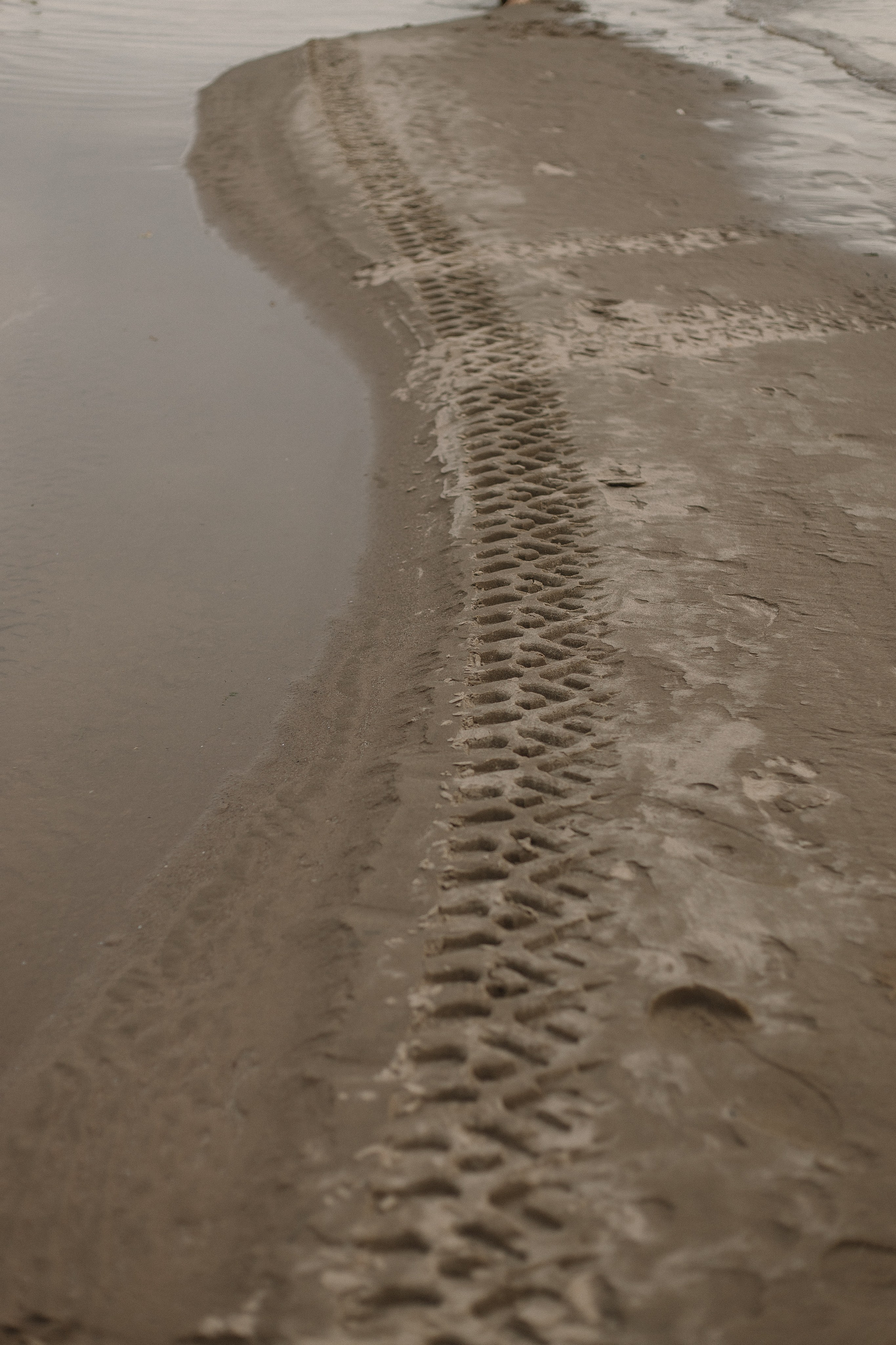 Виталий Карина. Фотограф Санкт-Петербург. Аврамова Анастасия