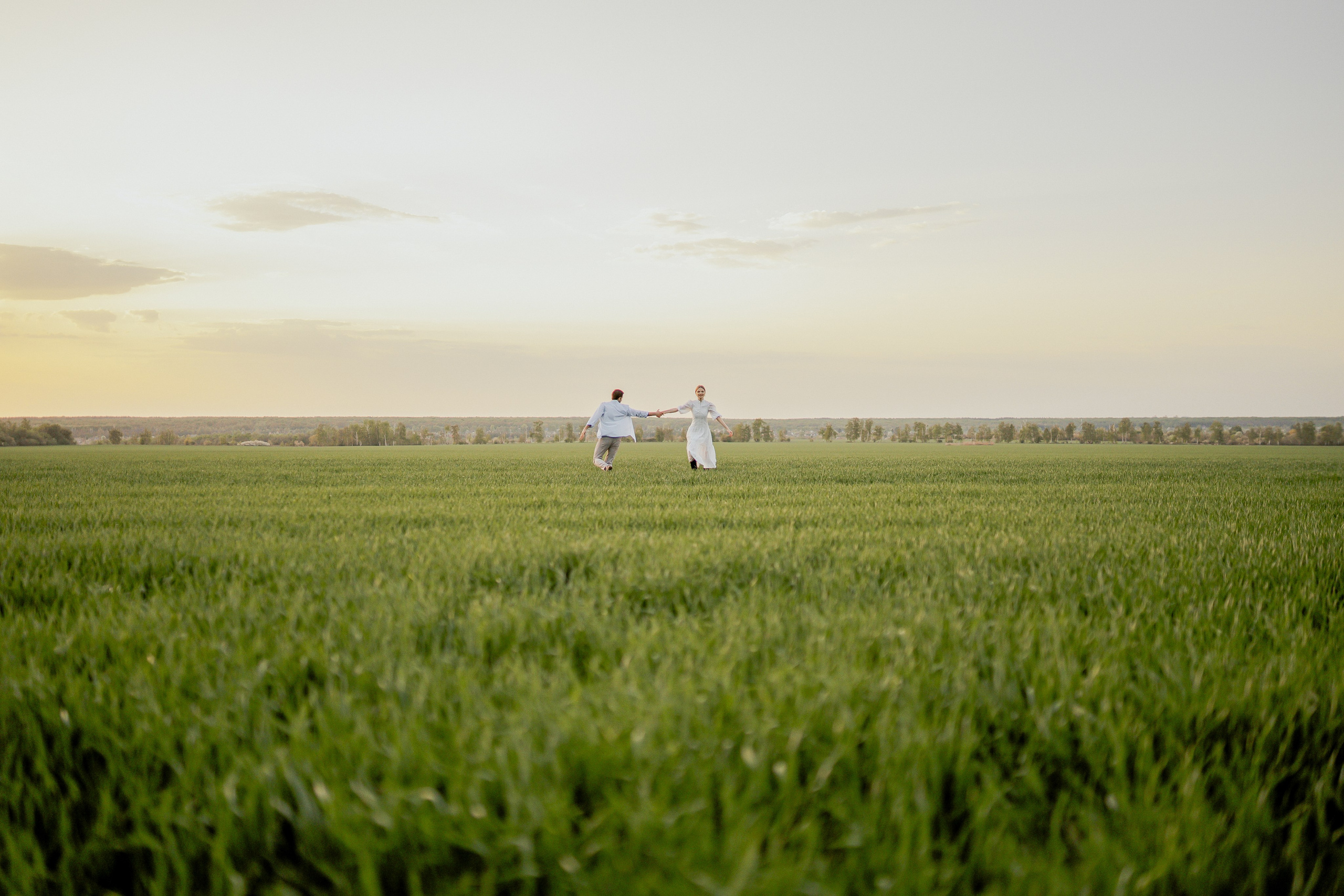 Поле. Фотограф Мария Зайчик