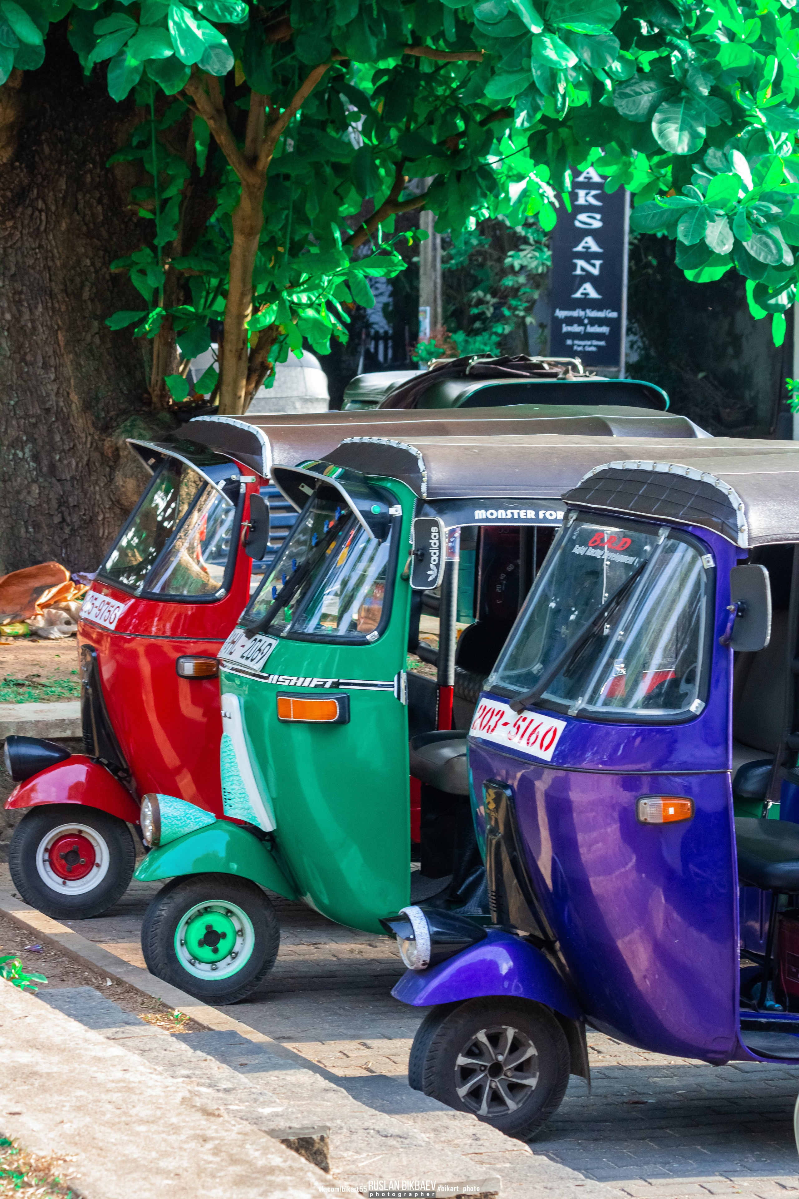 ШРИ-ЛАНКА 2025 / SRI LANKA 2025. Главная