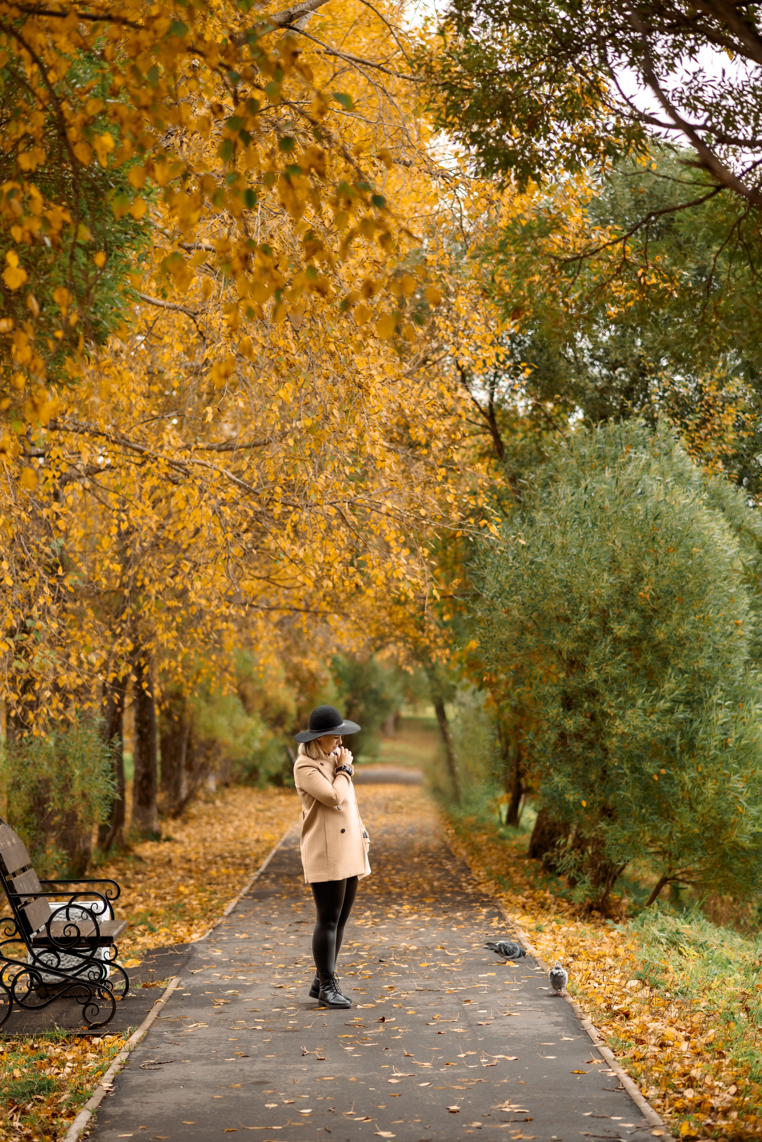 Прогулка в городском парке. Фотограф Наталья Горелова. Мирный, Плесецк, Архангельск