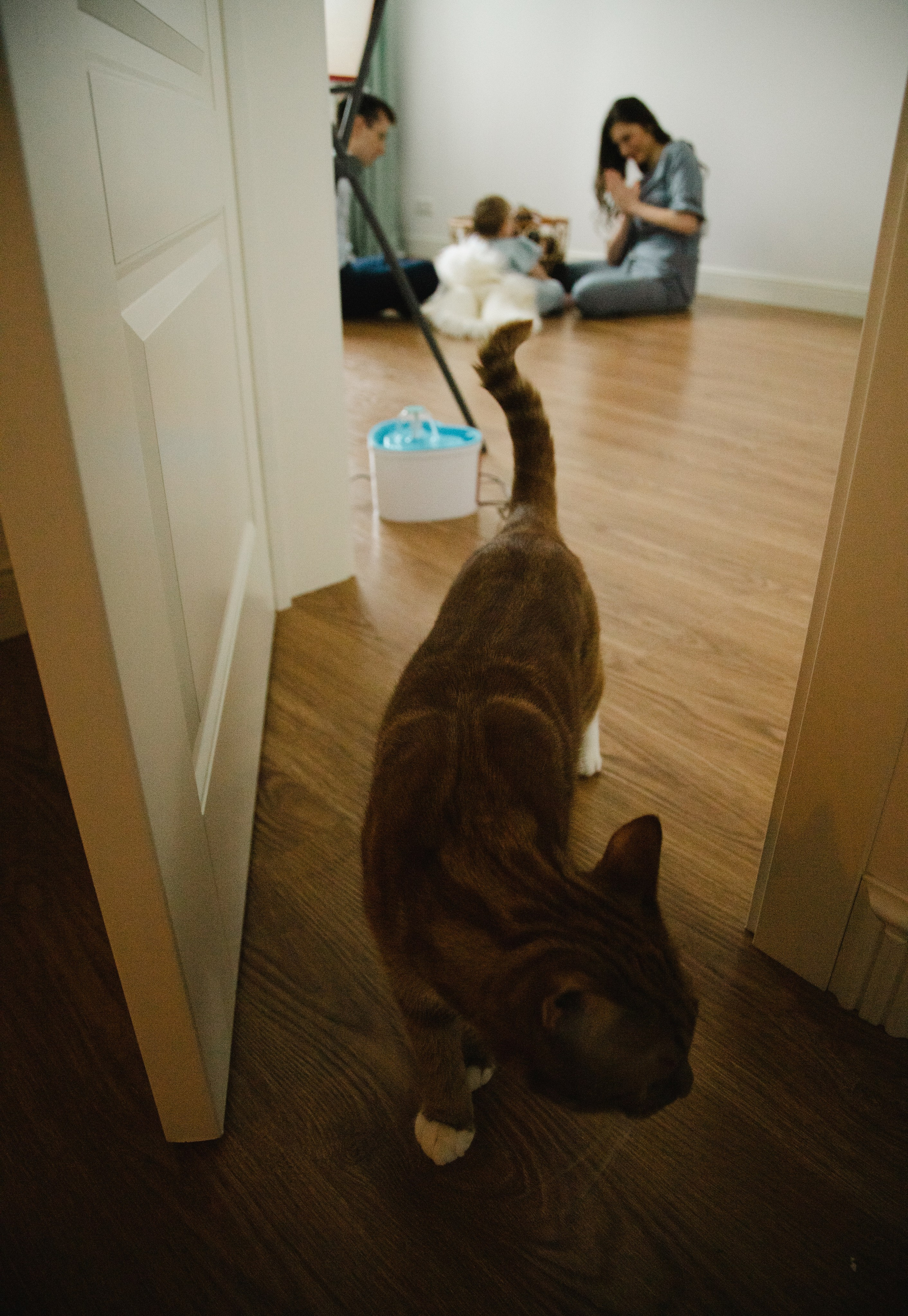 Утром дома. Фотограф текстиля в Москве Ольга Иванова