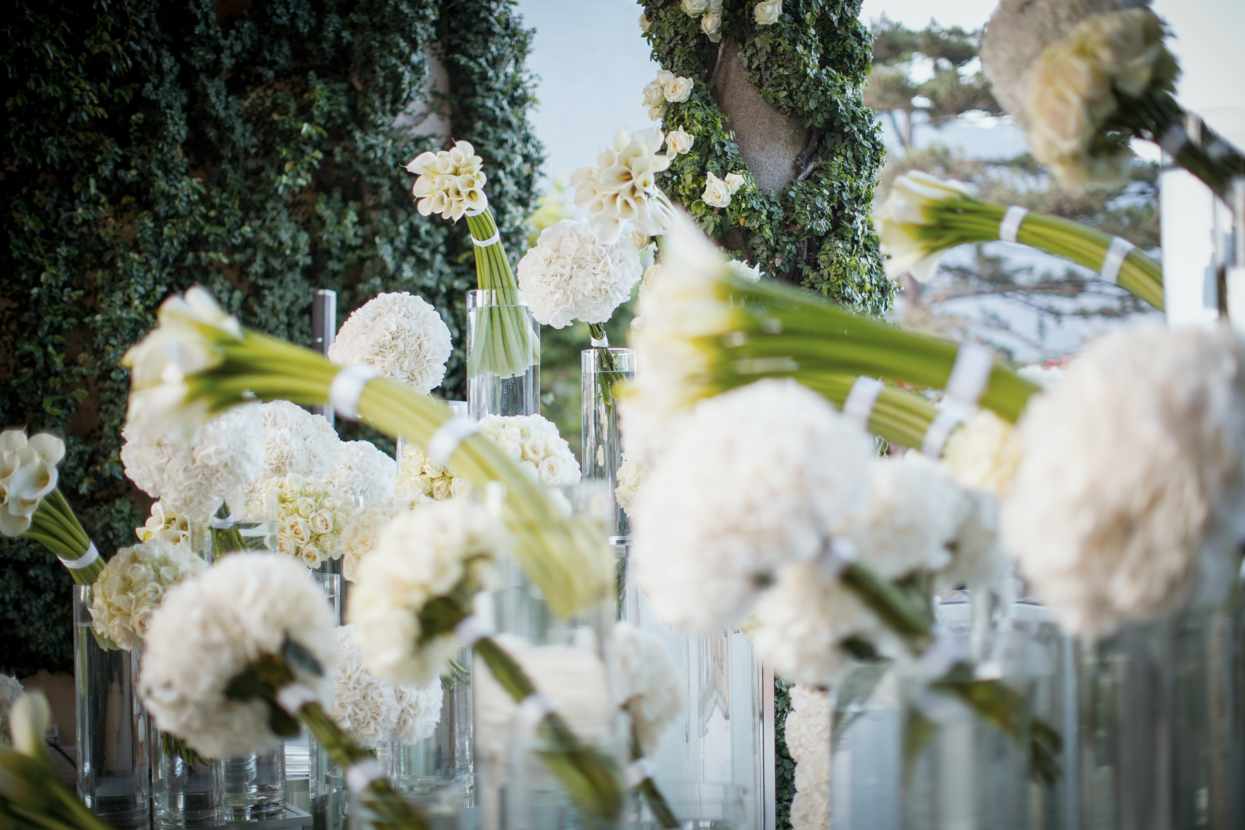 Надежда & Зиуедин. Главная