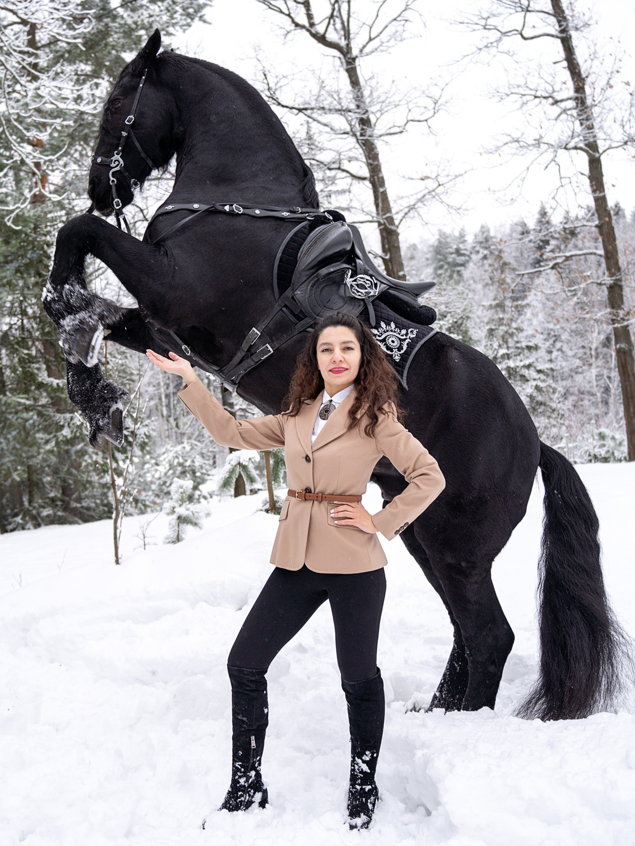 Лошадки зима. Фотограф Зинаида Евдокимова