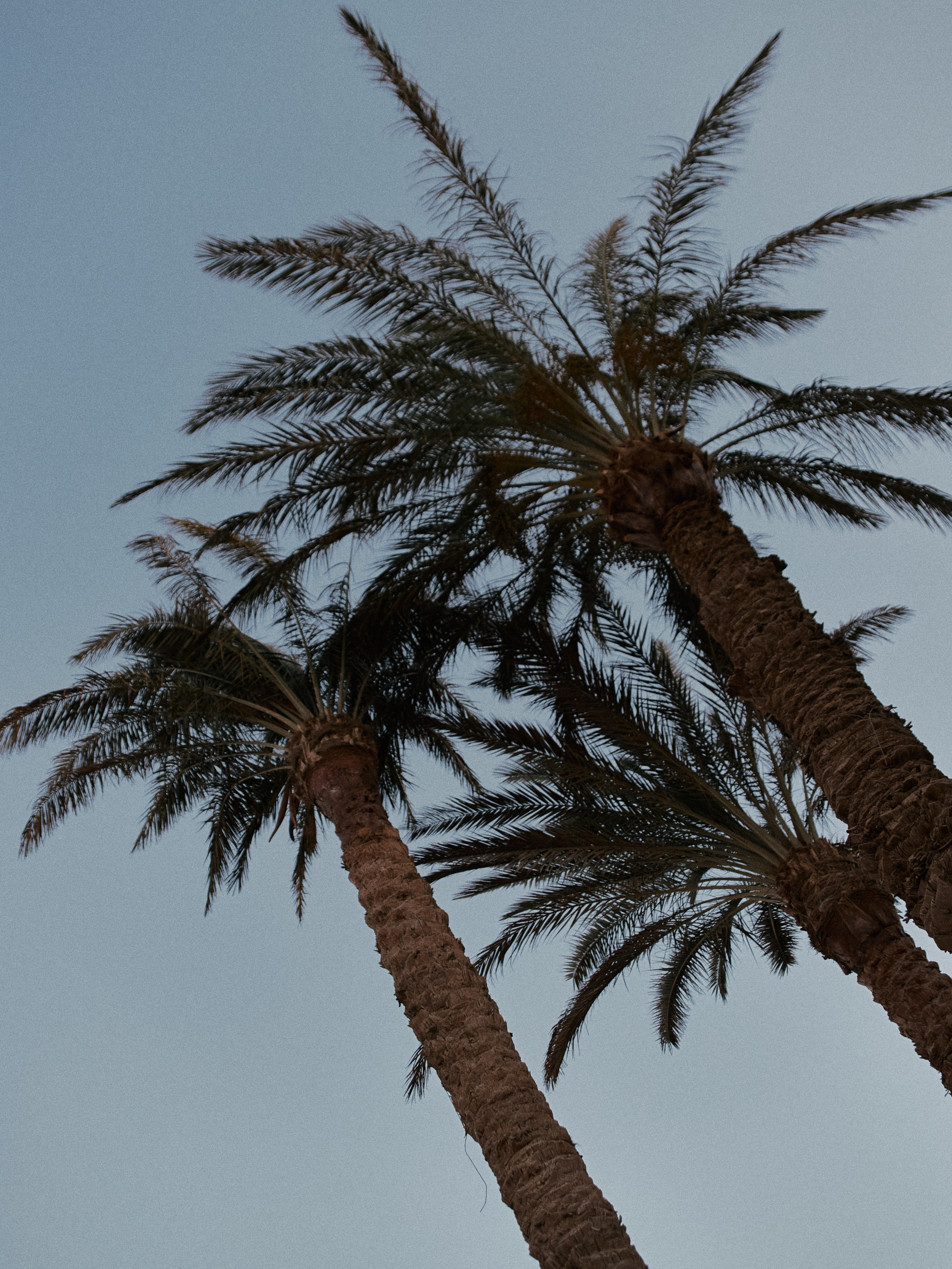 Природа. Jorgis Talè — photographer, kind person, teacher of arts and other mag