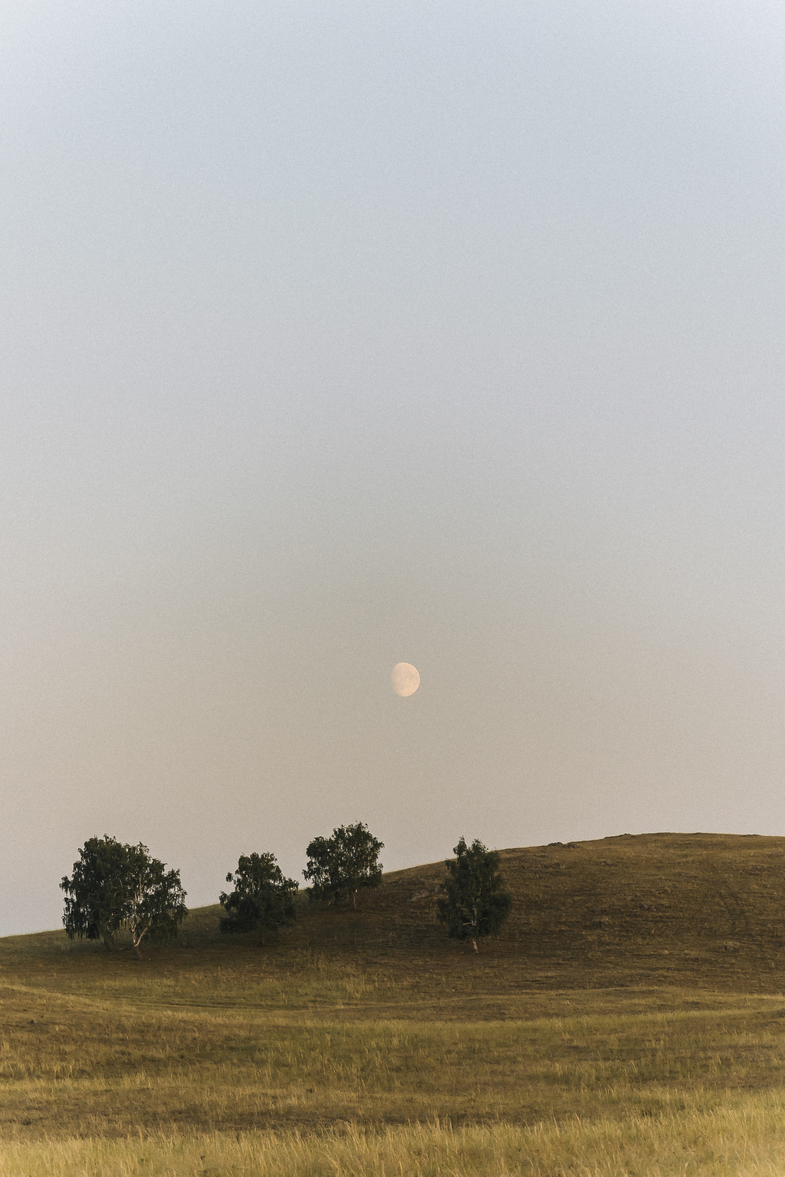 SUN AND MOON. Фотограф в Москве