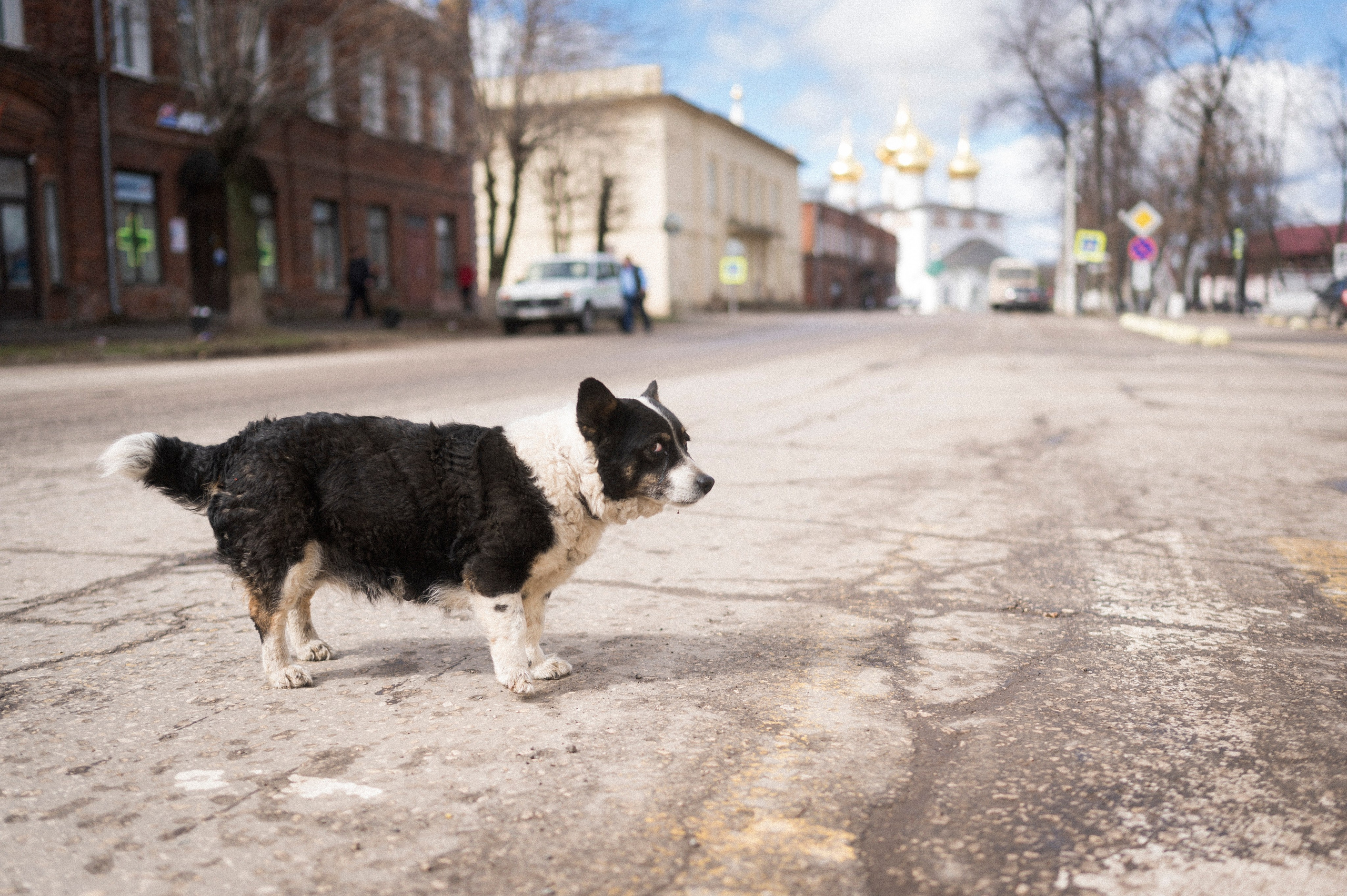 Late Honeymoon. Kartascheff