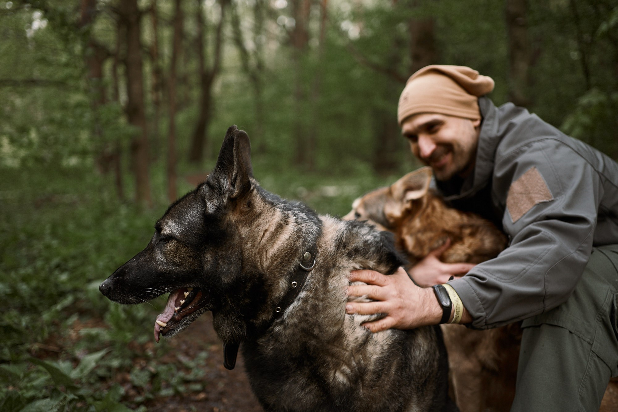 Дима, Рыжий и Воля. Фотограф анималист Москва Дарья