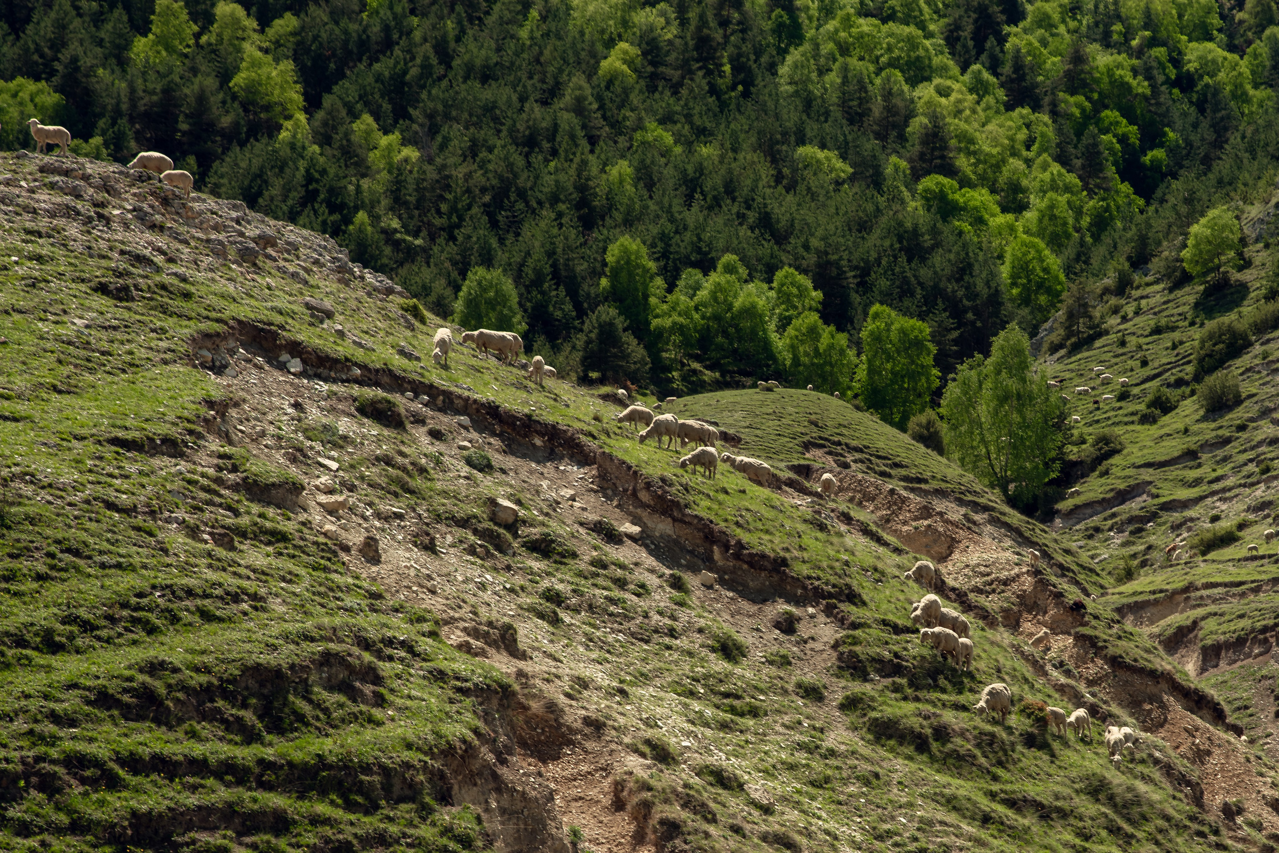 Дагестан. Фотограф Крещение Венчание Москва