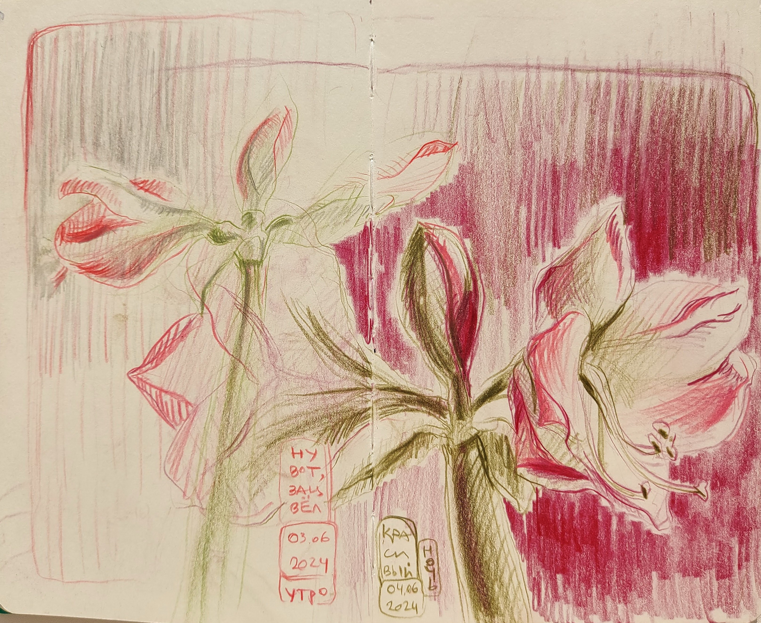 Quick Sketches. Alexander Manaenkov | Watercolor Artist from Siberia